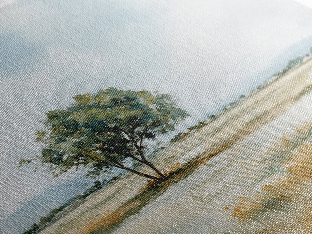 Open Field with Distant Tree Framed Canvas Print, Waiting Room Art, Therapy Office Decor, Waiting Room Decor, Fine Art, Calm, WRA-1x1-71