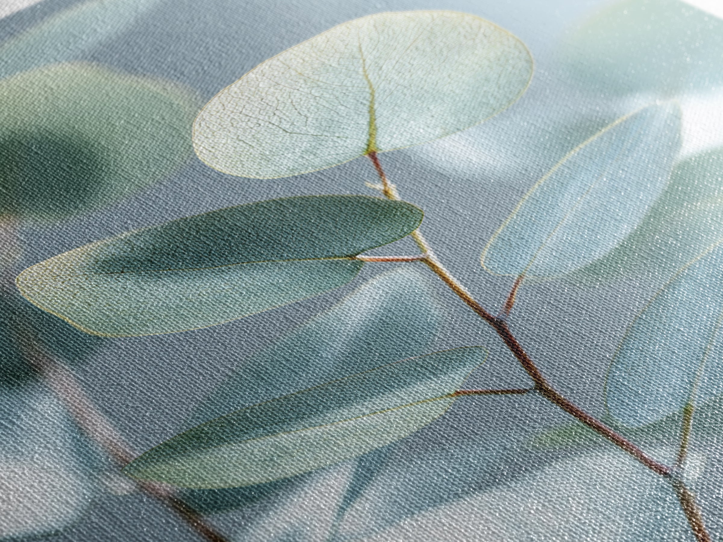Clean Eucalyptus Leaf Study Framed Canvas Print, Waiting Room Art, Wall Art, Waiting Room Decor, Oil Painting, Calm, WRA-2x3-1