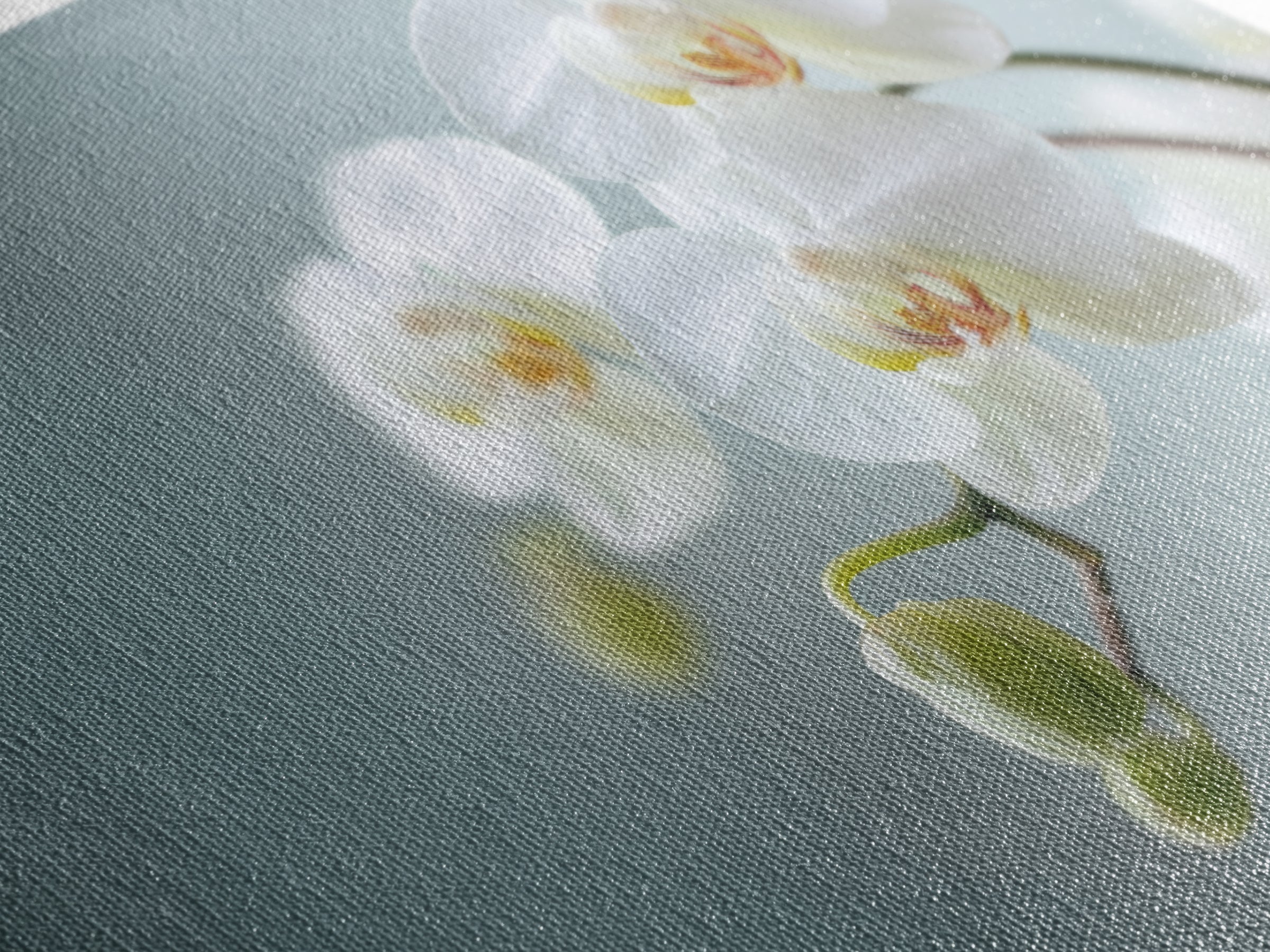 White Orchid on Light Gray Ground Canvas Print, Waiting Room Art, Digital Art Print, Waiting Room Decor, Fine Art, Calm, WRA-3x2-11