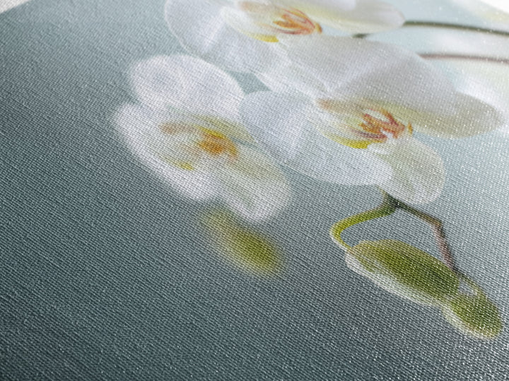 White Orchid on Light Gray Ground Canvas Print, Waiting Room Art, Digital Art Print, Waiting Room Decor, Fine Art, Calm, WRA-3x2-11