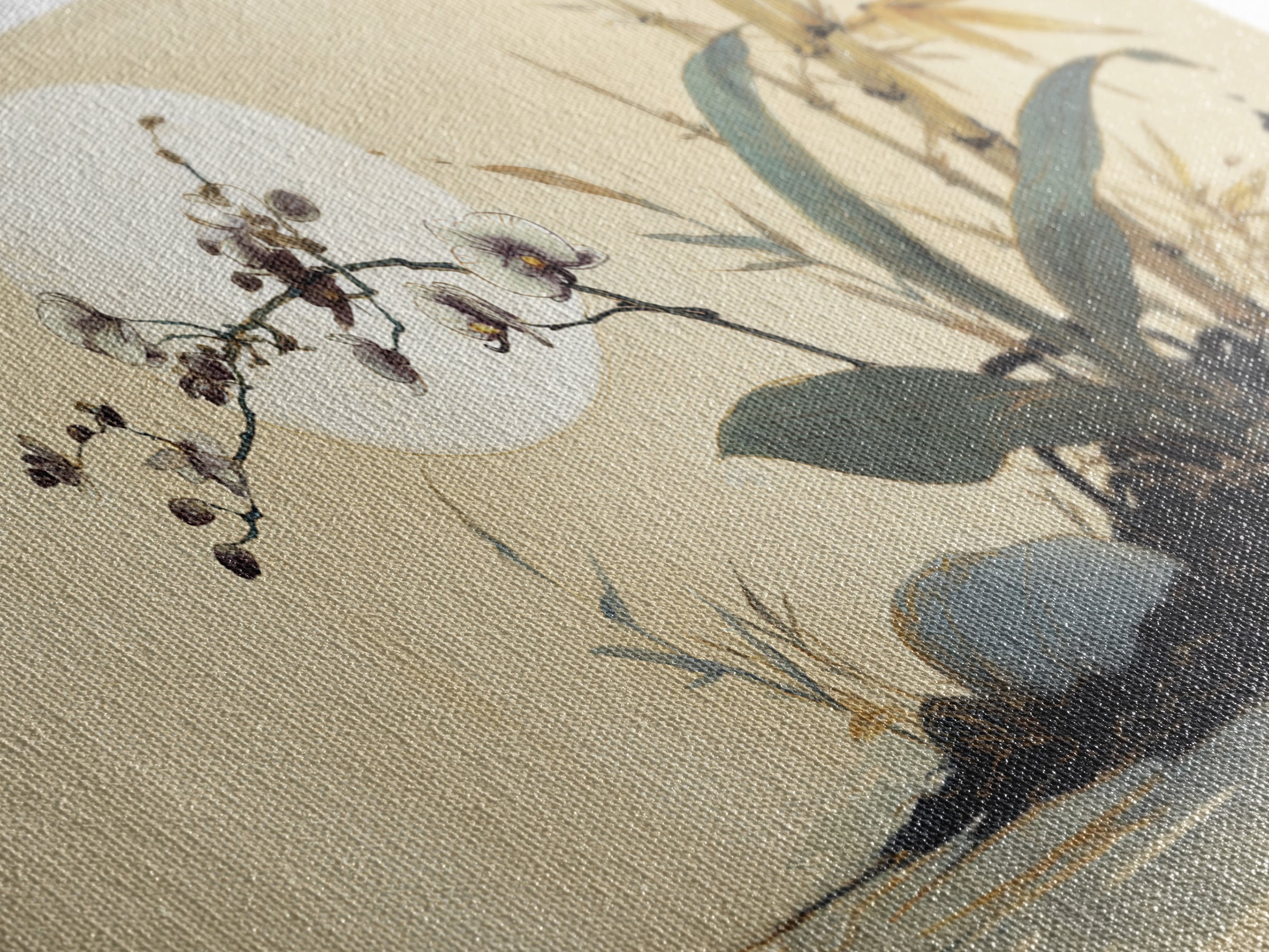 Single Orchid Stem Framed Canvas Print, Zen Art, Garden Art, Living Room Decor, Fine Art, Zen, Artist, Neutral Wall Art, ZEN-2x1-91