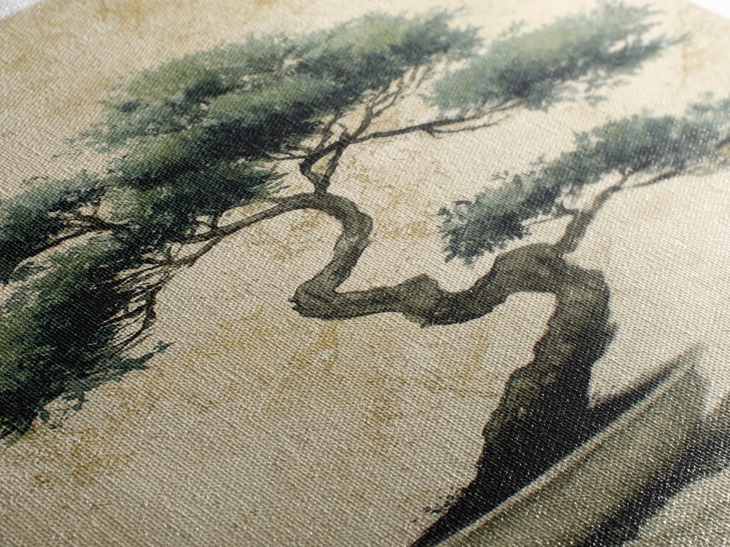 Bonsai Tree in Simple Ceramic Pot Framed Canvas Print, Zen Art, Extra Large Wall Art, Living Room Decor, Oil Painting, Zen, ZEN-2x3-20