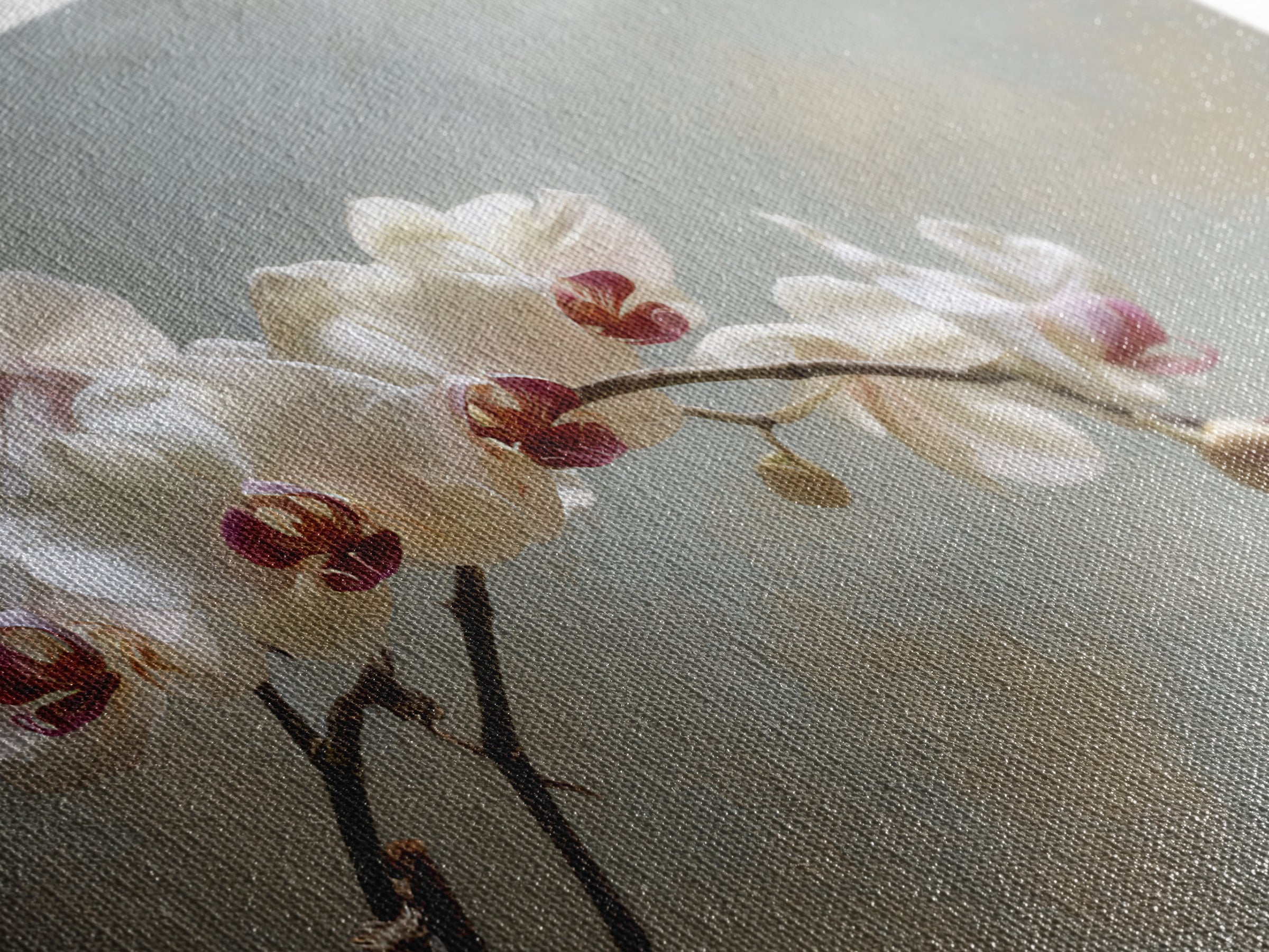 Single Orchid Stem Framed Canvas Print, Zen Art, Wall Art, Living Room Decor, Fine Art, Zen, Boho Wall Art, Garden Art, ZEN-3x2-27