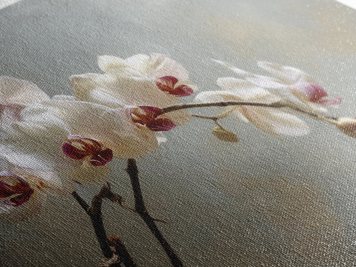 Single Orchid Stem Framed Canvas Print, Zen Art, Wall Art, Living Room Decor, Fine Art, Zen, Boho Wall Art, Garden Art, ZEN-3x2-27