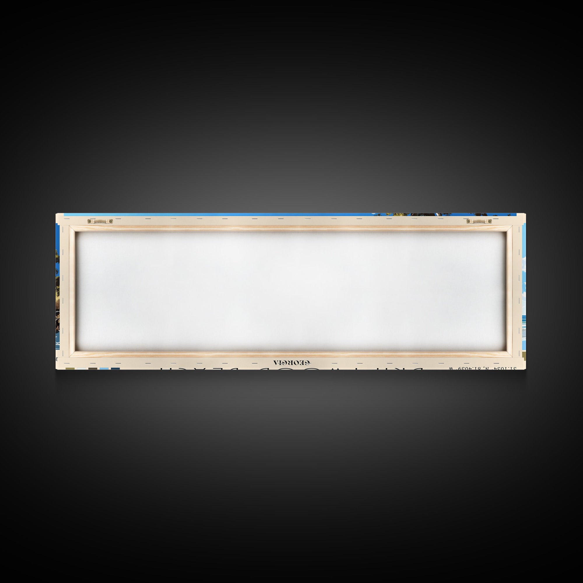 Driftwood Beach, Georgia Panoramic Beach Print, Vacation Gift, Georgia Wall Art, Framed Canvas Print, Framed Beach Painting