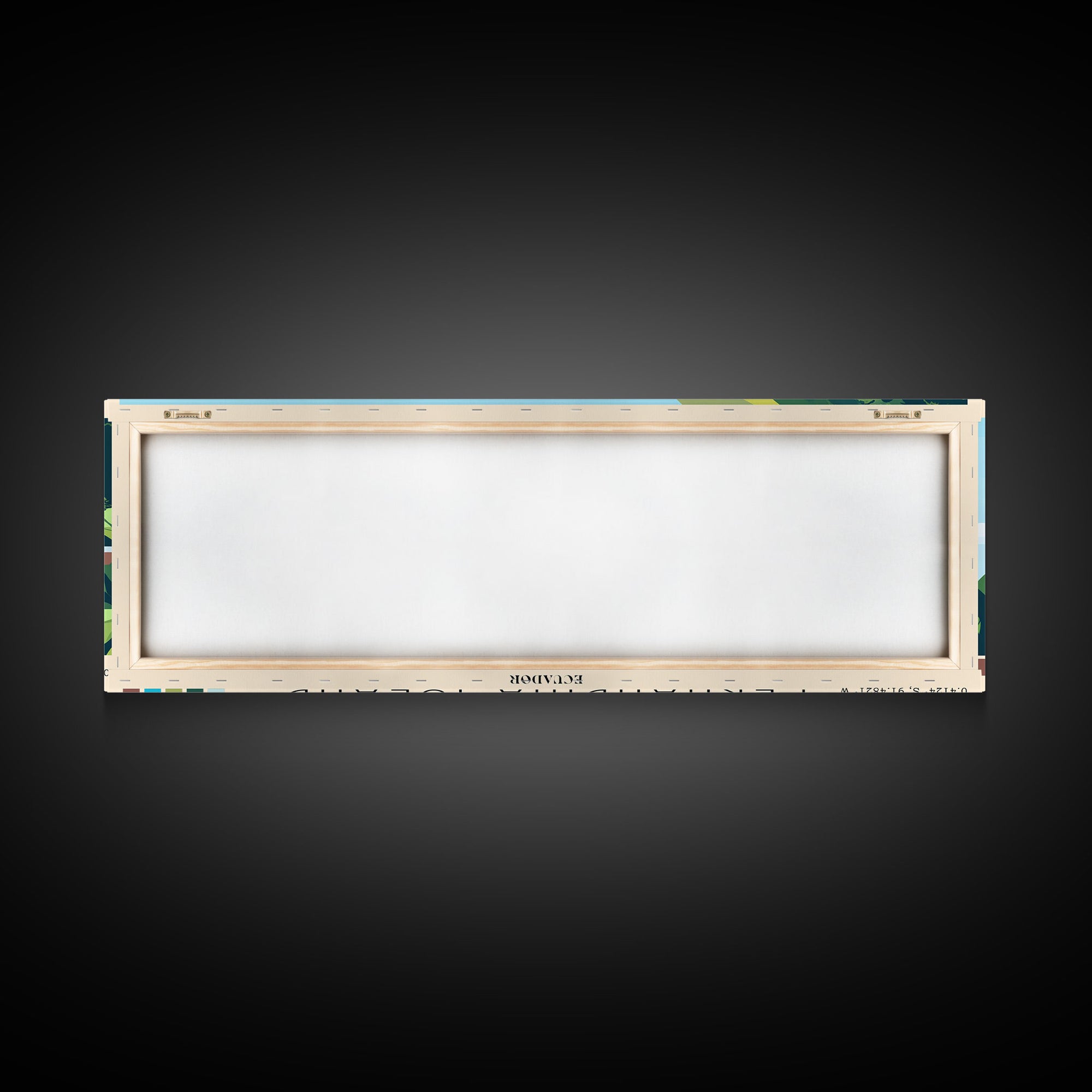 Fernandina Island, Ecuador Panoramic Beach Print, Vacation Gift, Ecuador Wall Art, Framed Canvas Print, Framed Beach Painting