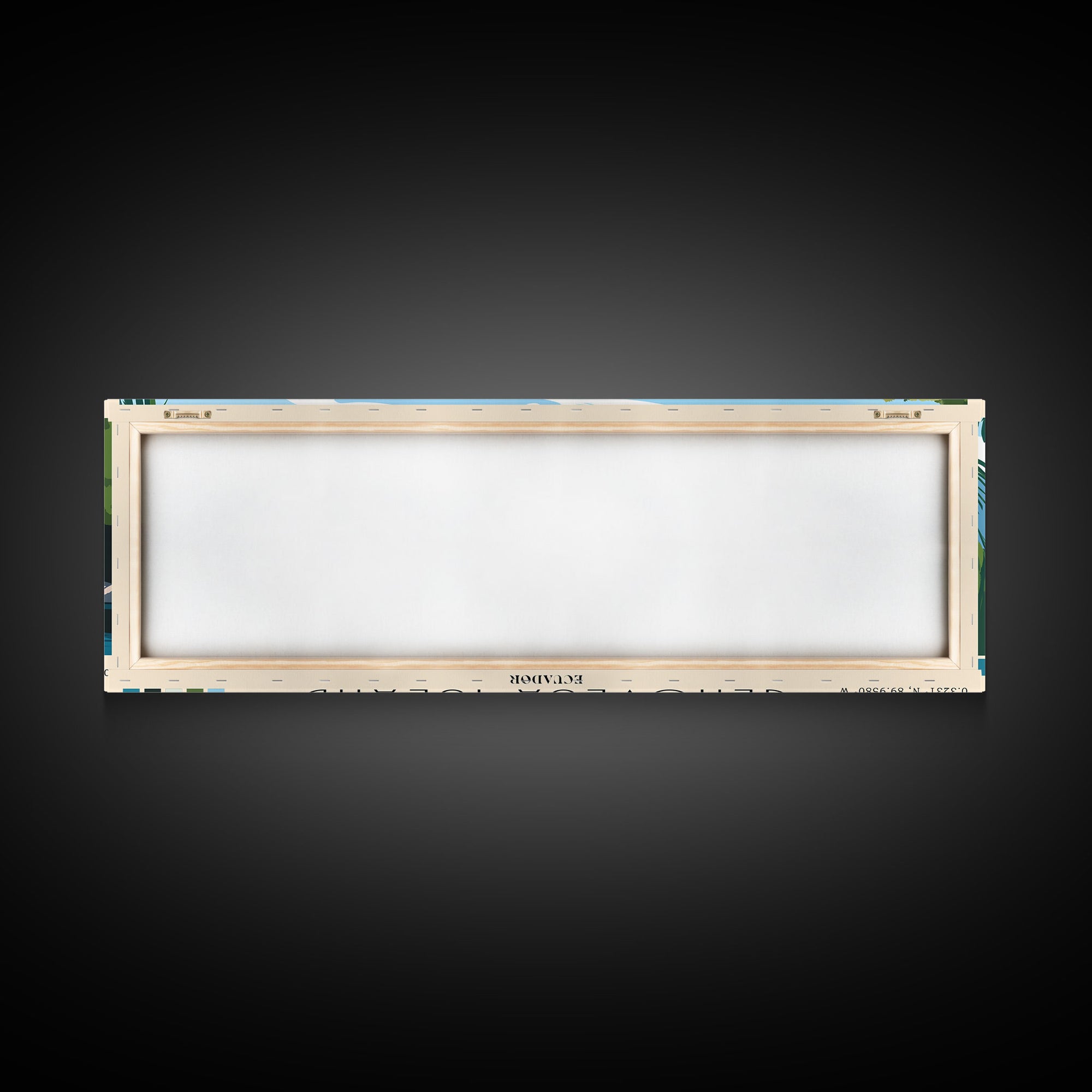 Genovesa Island, Ecuador Panoramic Print, Vacation Gift, Ecuador Wall Art, Beach Painting, Beach Decor, Large Wall Art, Wood Frame Art