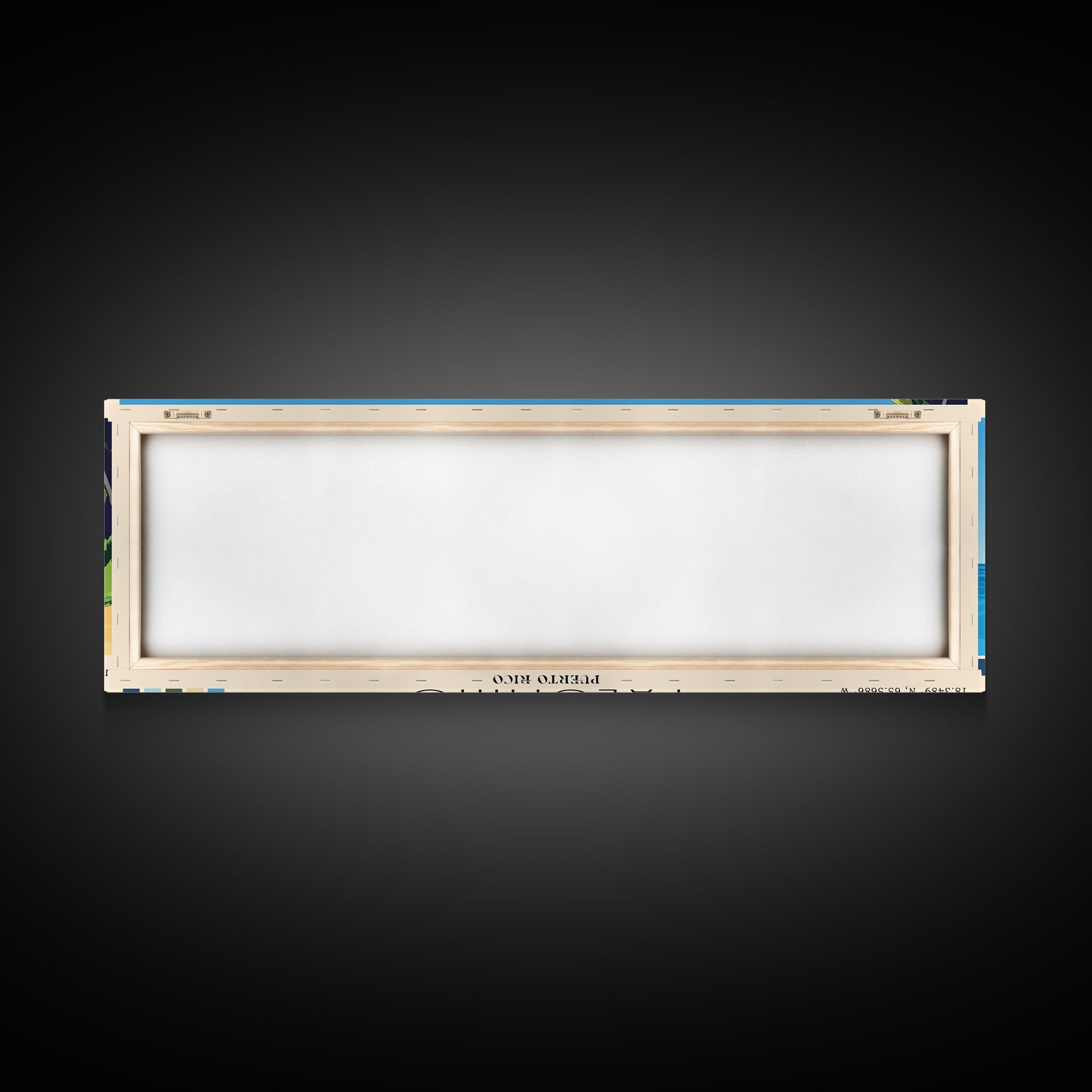 Palomino, Puerto Rico Panoramic Print, Vacation Gift, Puerto Rico Wall Art, Vacation Wall Art, Vacatation Memories, Beach Decor, Beach Or Lakehouse Art