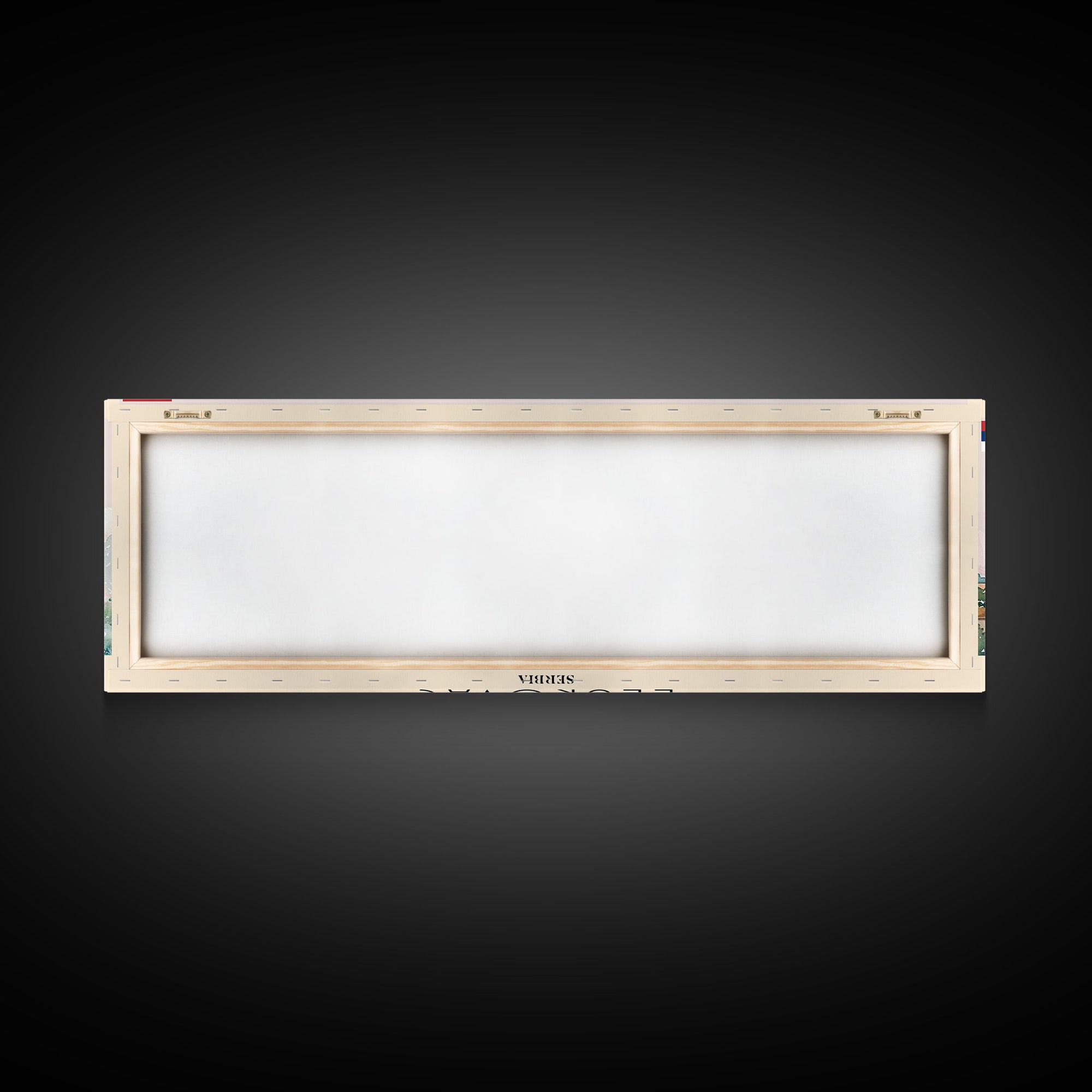 Leskovac Serbia Panoramic Travel Poster, Framed Canvas Print or Metal Wall Art, Travel Art, Home Decor, Panoramic Painting, Midcentury Art