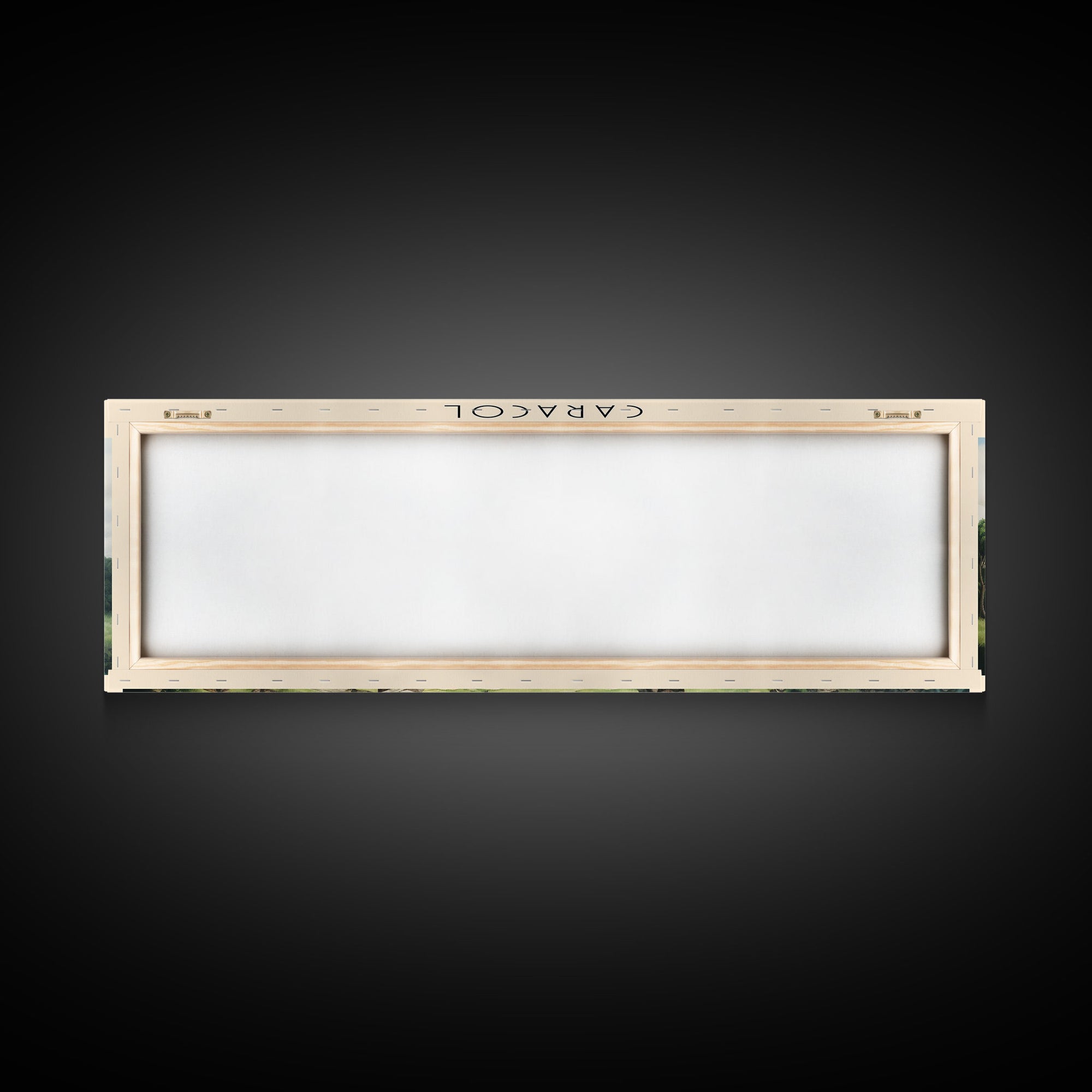 Caracol Travel Art Framed Canvas Print, COUNTRY Wall Decor, Home Decor, Travel Poster, Vintage Wall Art, Watercolor Painting