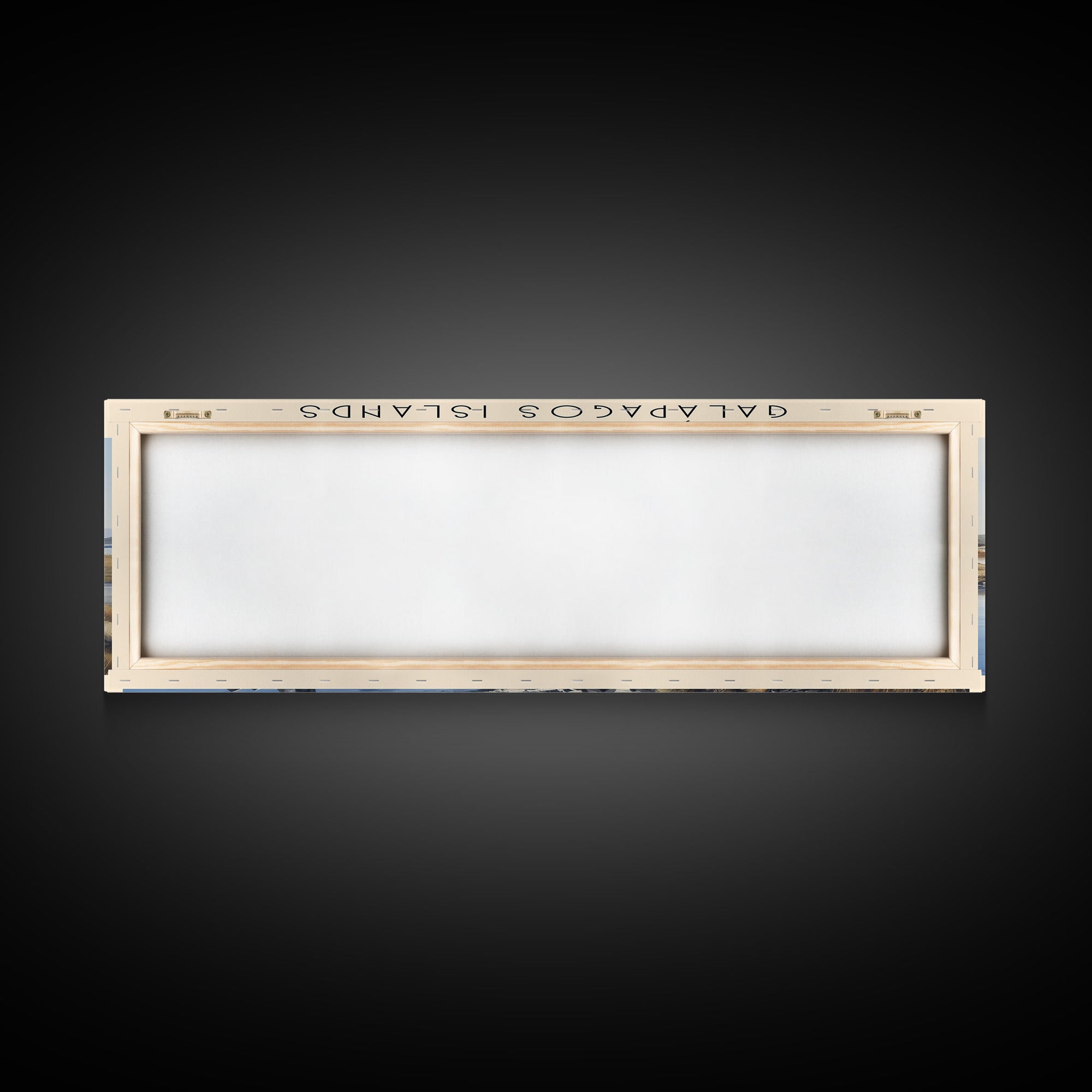 Galápagos Islands Wall Art Travel Poster Print, Gift For Travel Lover, Vacation Gift, COUNTRY Wall Art, Home Decor, Original Art