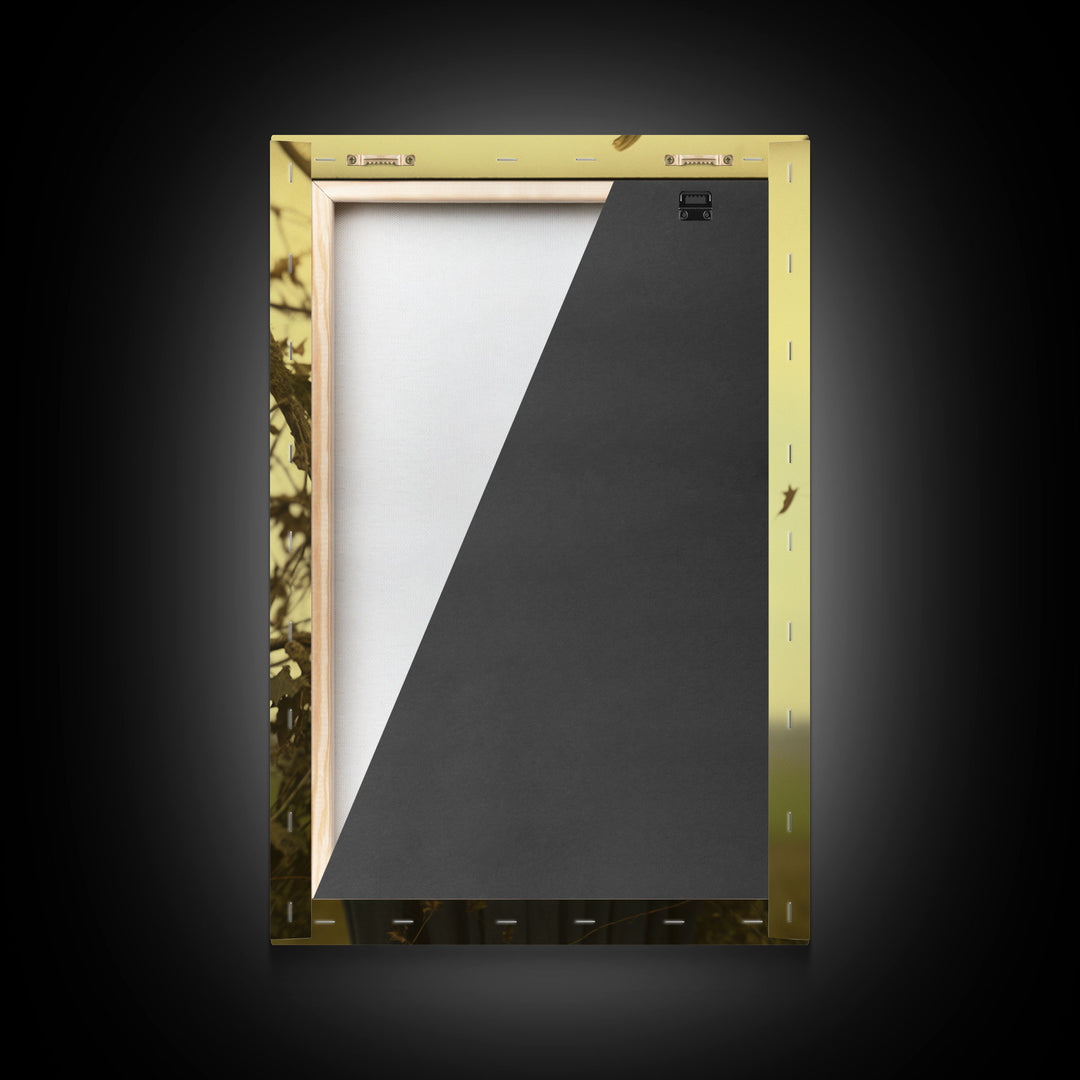 The Witch, Spooky Victorian Witch Photography Daguerreotype, Tin Type, Framed Canvas Print, Victorian Witches, Halloween Decor