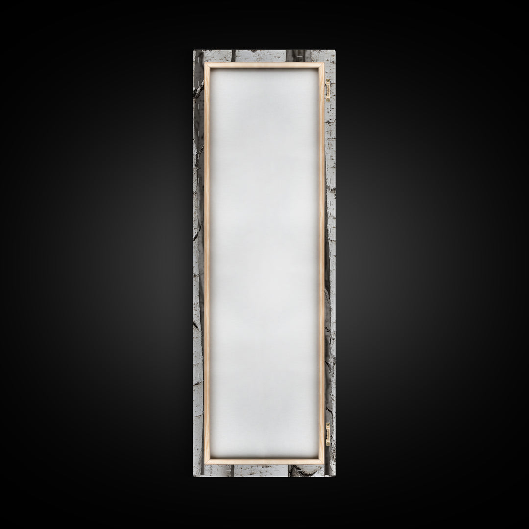 Classic Birch Trees Black and White Wall Art Framed Canvas Print Rustic Farmhouse Art Tall Narrow Art Guest Room Decor