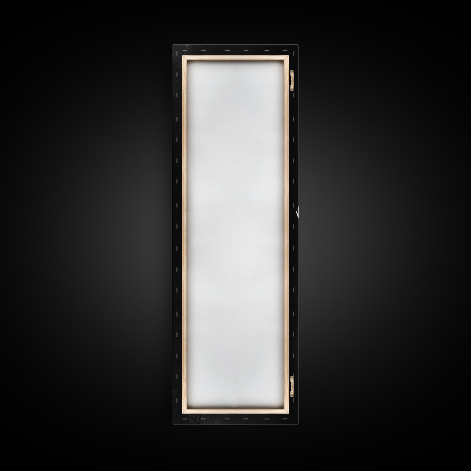 Dragonfly Wings Macro, Nature Insect Print, Detailed Bug Art, Minimalist Scientific Wall Decor, Framed Canvas Print, Study Room Art