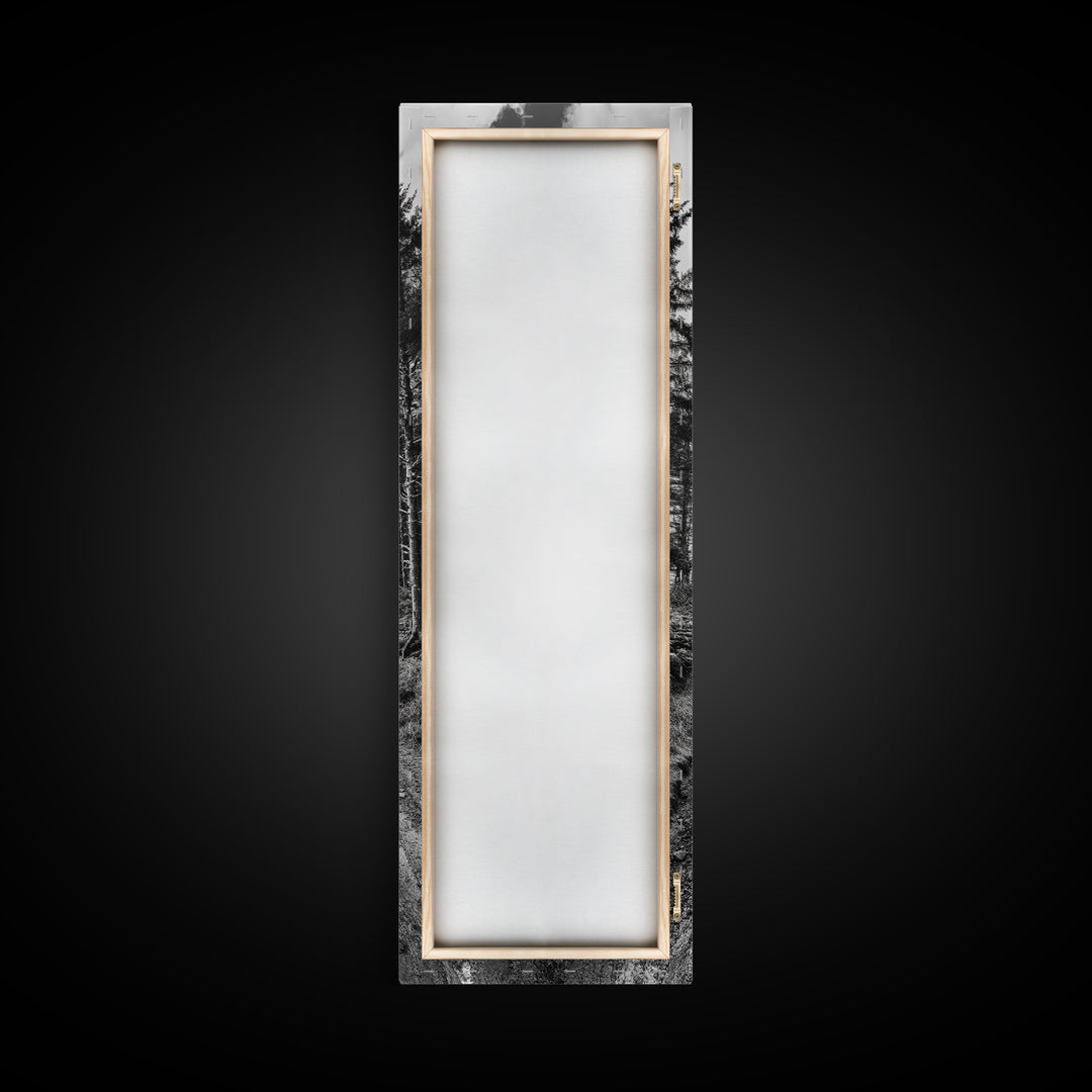 Coastal Forest Path, Nature Trail, Ocean View, Black and White, Framed Canvas Print, Entryway Wall Art, Rustic Decor, Landscape Photography