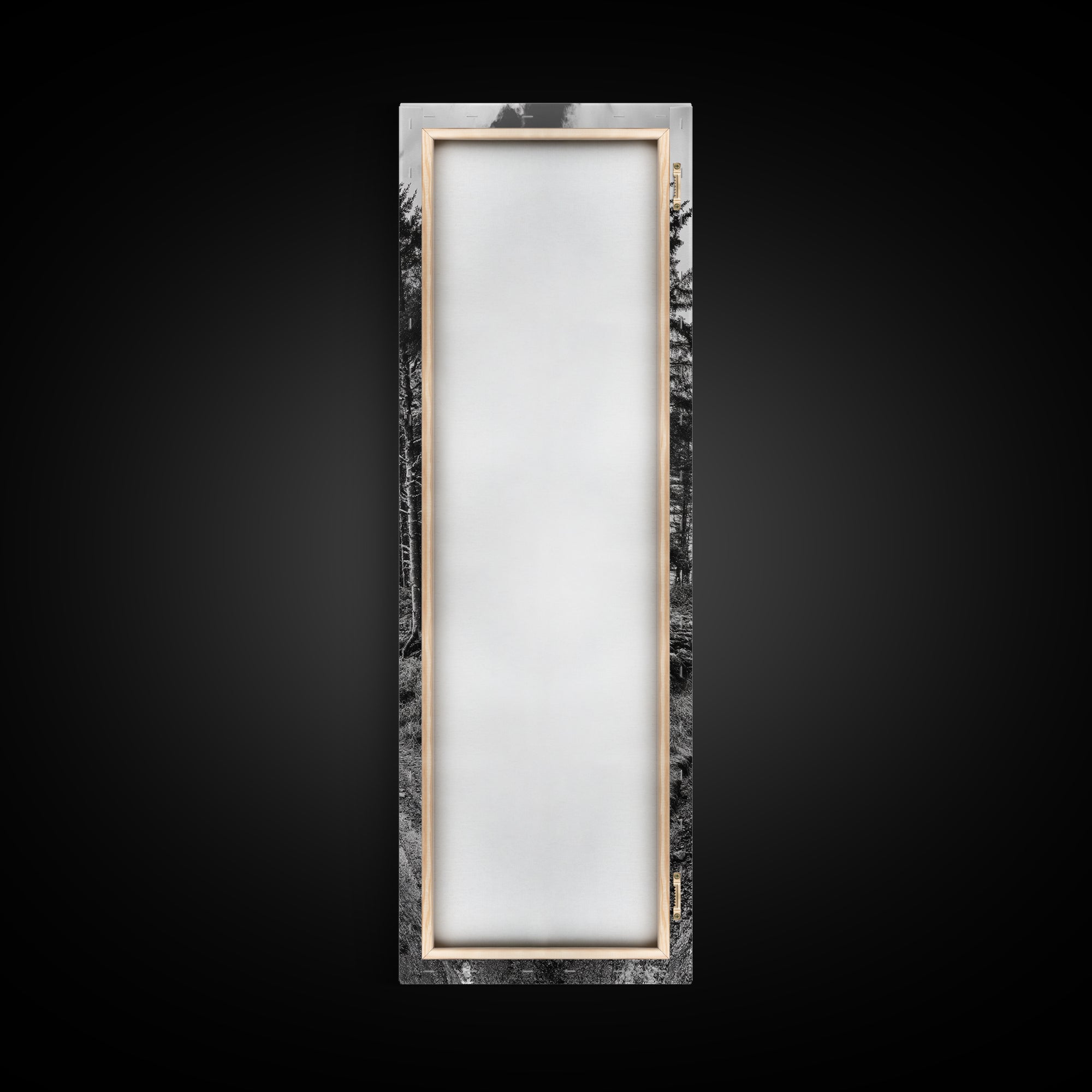 Coastal Forest Path, Nature Trail, Ocean View, Black and White, Framed Canvas Print, Entryway Wall Art, Rustic Decor, Landscape Photography