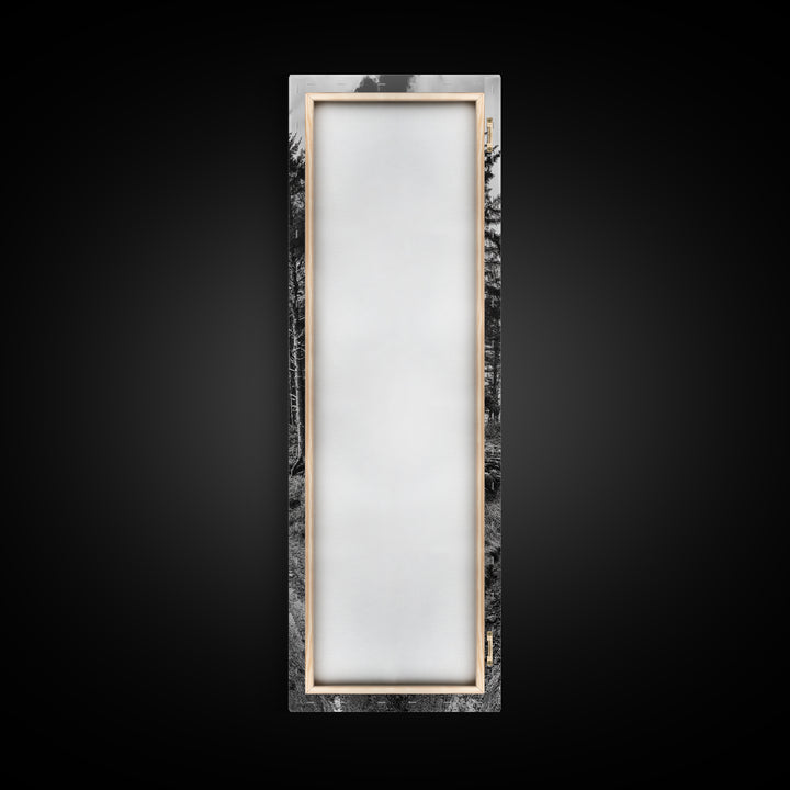 Coastal Forest Path, Nature Trail, Ocean View, Black and White, Framed Canvas Print, Entryway Wall Art, Rustic Decor, Landscape Photography