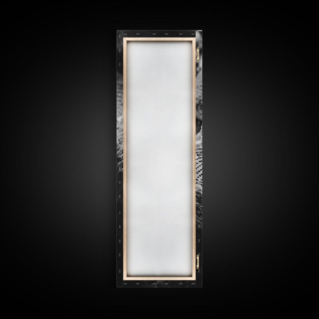 Coiled Snake, Wild Reptile, Black and White Snake, Fierce Eyes, Framed Canvas Print, Nature Lover Wall Art, Masculine Office Decor