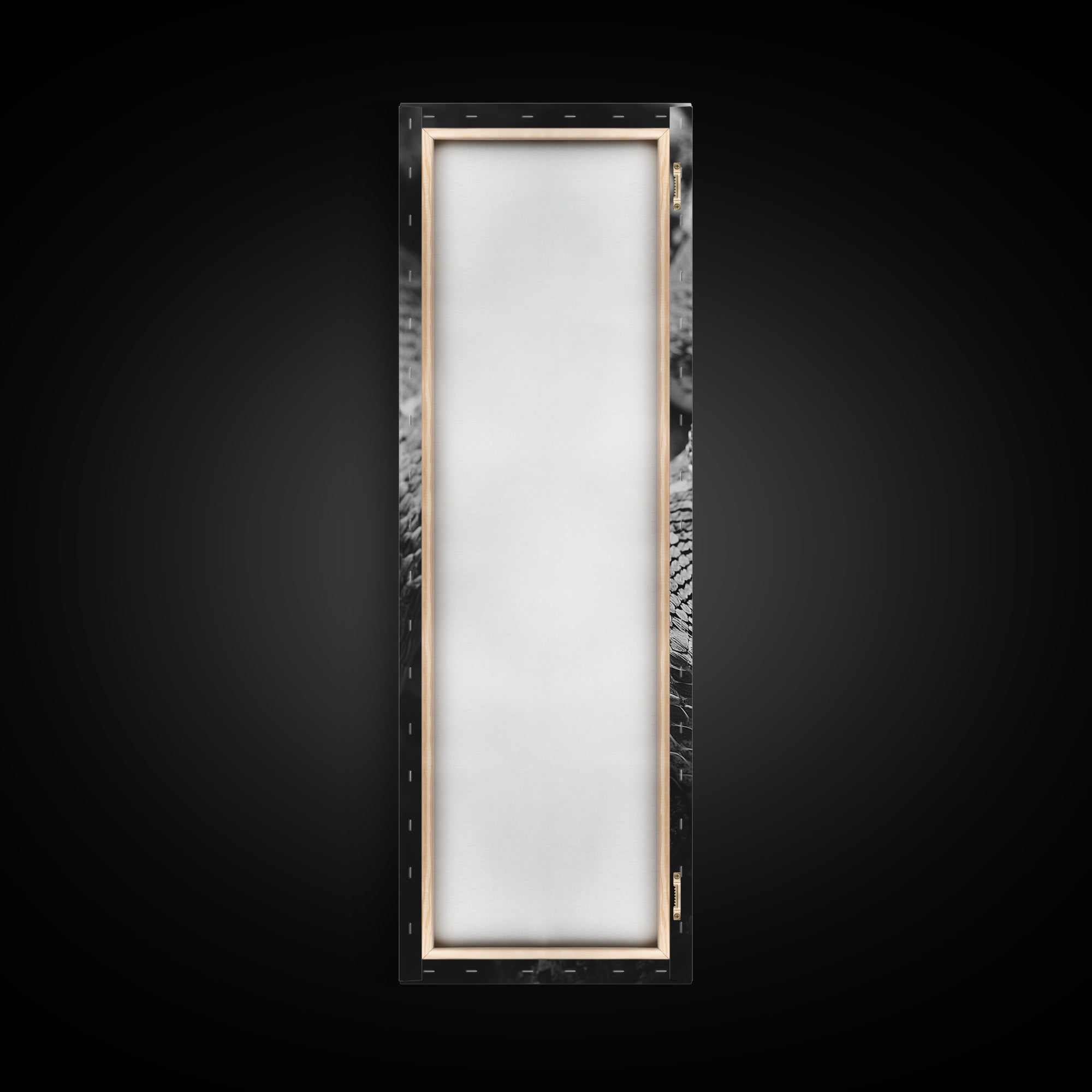 Coiled Snake, Wild Reptile, Black and White Snake, Fierce Eyes, Framed Canvas Print, Nature Lover Wall Art, Masculine Office Decor