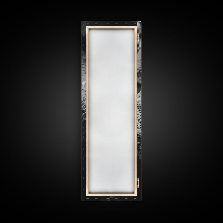 Coiled Snake, Wild Reptile, Black and White Snake, Fierce Eyes, Framed Canvas Print, Nature Lover Wall Art, Masculine Office Decor