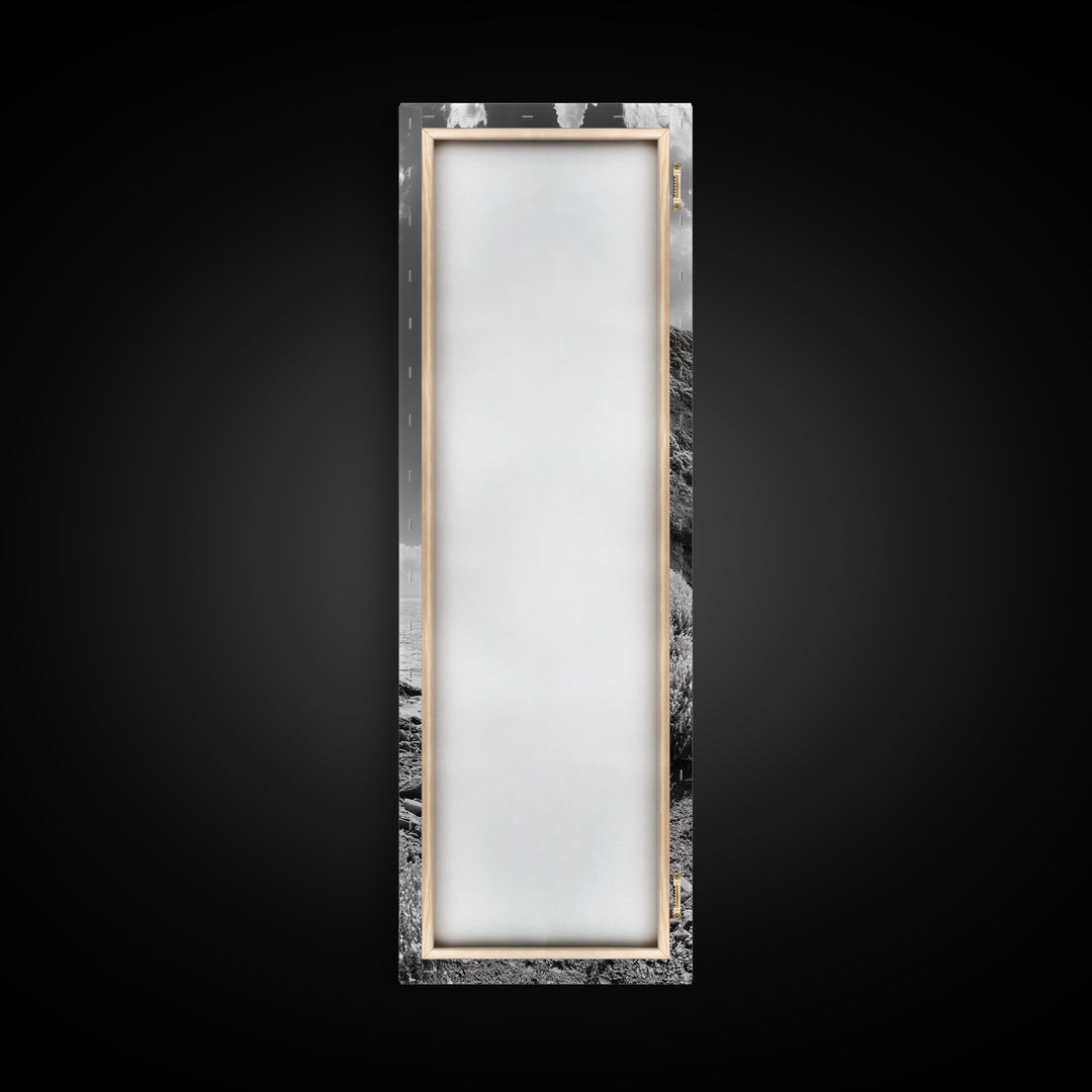 Coastal Shrubs, Rocky Beach, Sunlit Cliffside, Framed Canvas Print, Kitchen Wall Art, Black and White Nature, Scandinavian Home Style