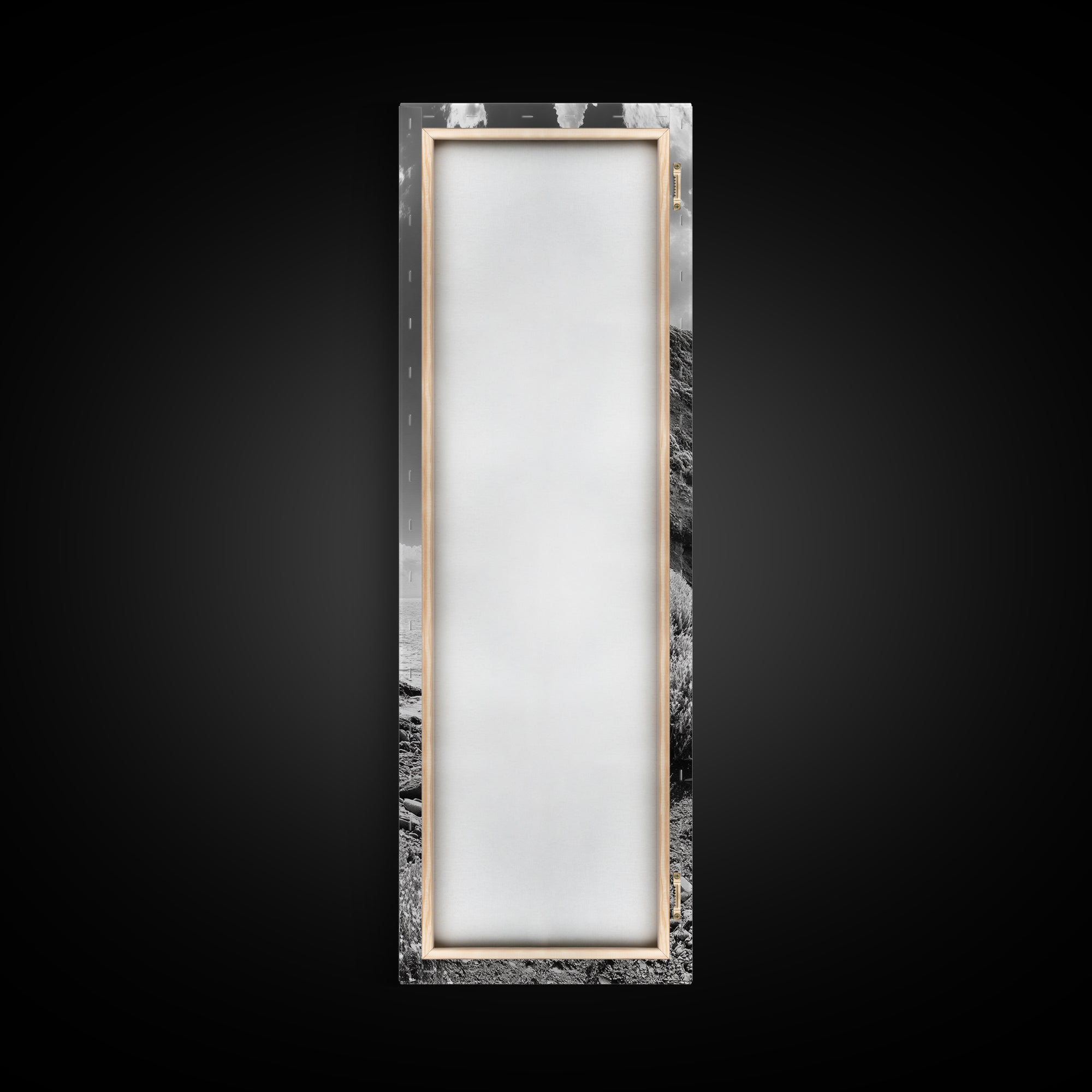 Coastal Shrubs, Rocky Beach, Sunlit Cliffside, Framed Canvas Print, Kitchen Wall Art, Black and White Nature, Scandinavian Home Style