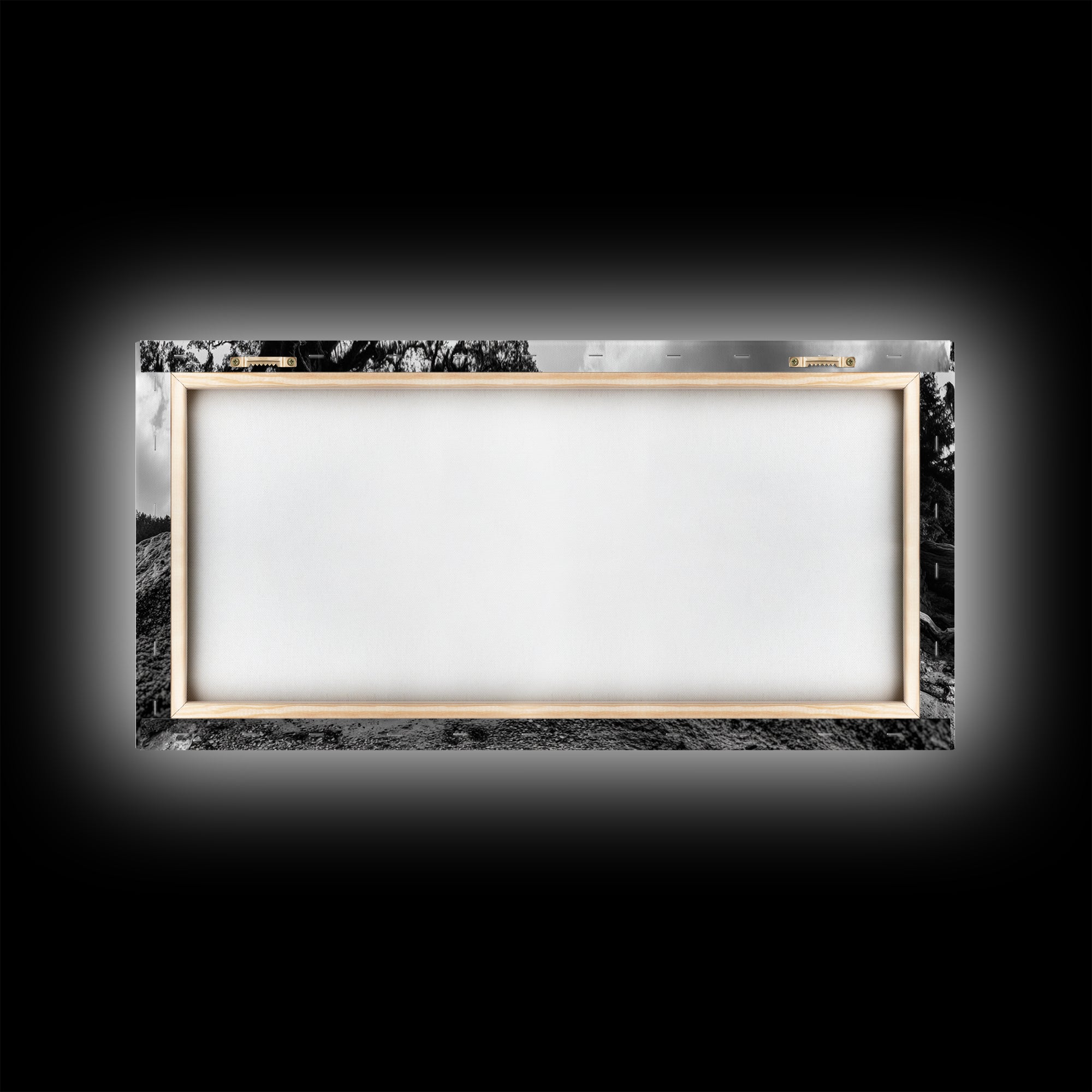 Coastal Tree Roots, Ancient Forest Shore, Pacific Northwest Nature, Moody Black and White Canvas Print, Cabin Wall Art, Woodland Style