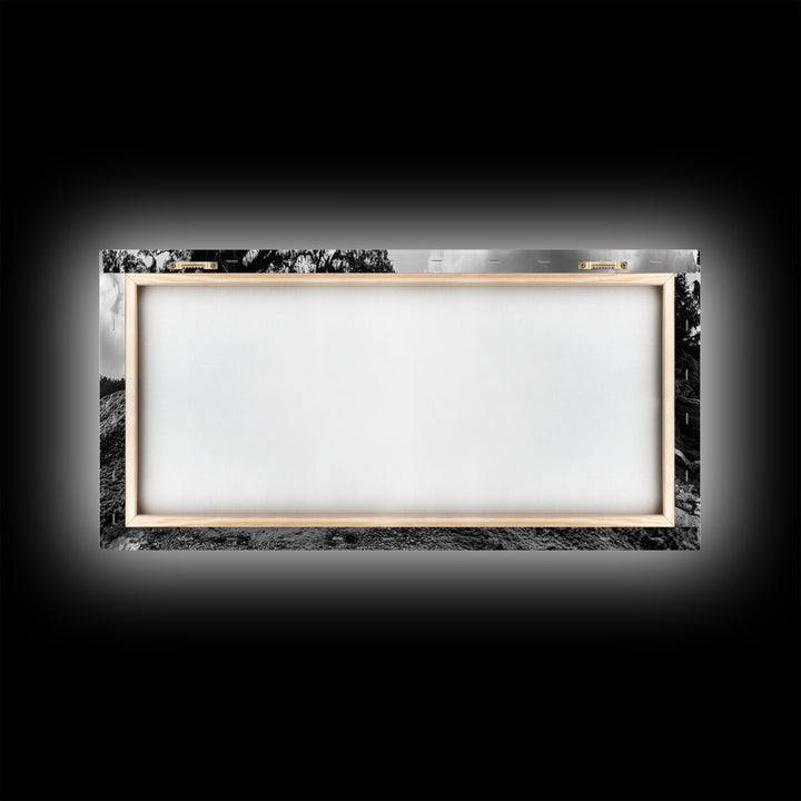 Coastal Tree Roots, Ancient Forest Shore, Pacific Northwest Nature, Moody Black and White Canvas Print, Cabin Wall Art, Woodland Style