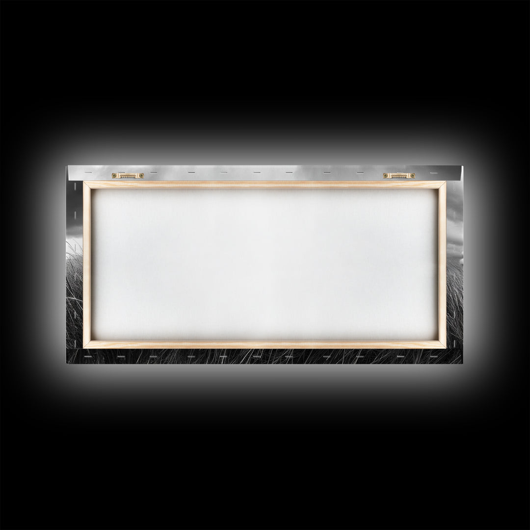 Cotton Grass Field, Stormy Sky Art, Botanical Monochrome, Minimalist Nature Print, Framed Canvas Print, Bedroom Wall Art, Nordic Style