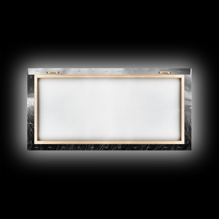 Cotton Grass Field, Stormy Sky Art, Botanical Monochrome, Minimalist Nature Print, Framed Canvas Print, Bedroom Wall Art, Nordic Style