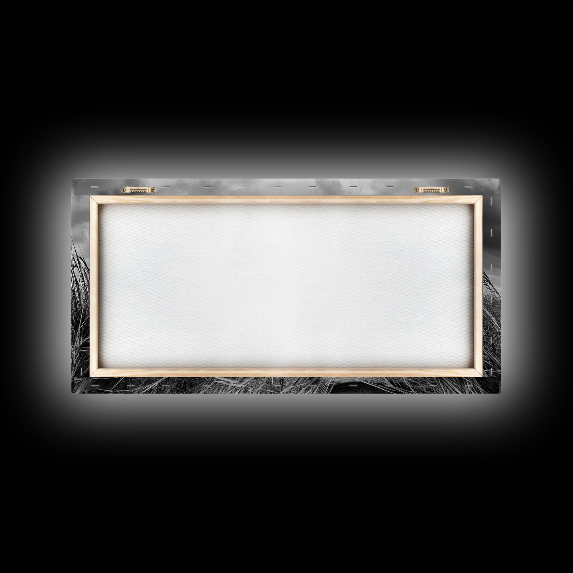 Antique Bottle Field, Rustic Outdoor Scene, Black and White Photography, Framed Canvas Print, Farmhouse Wall Art, Entryway Decor