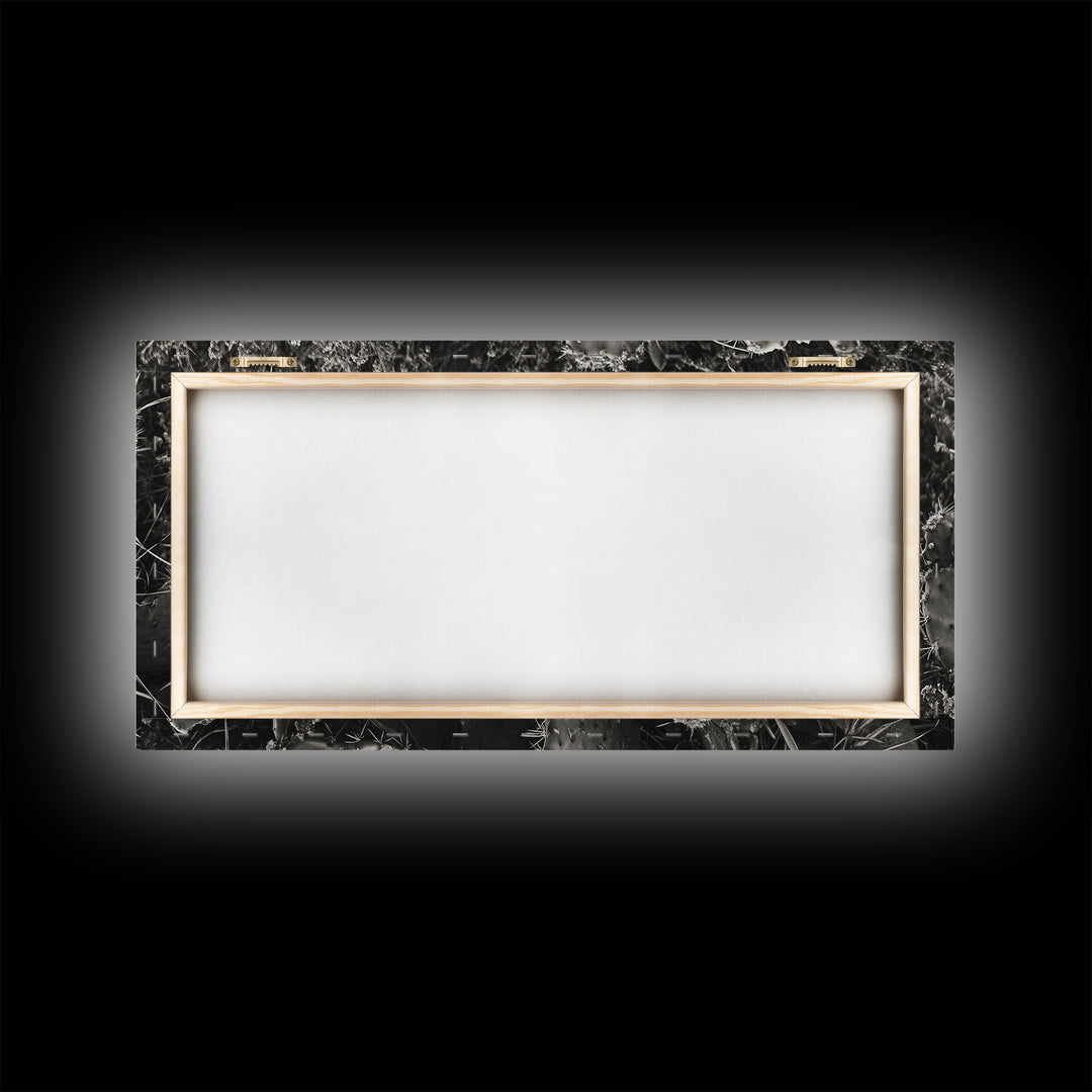 Cactus Blooms, Desert Flowers, Prickly Pear, Nature Closeup, Framed Canvas Print, Southwestern Art, Kitchen Wall Art, Boho Style