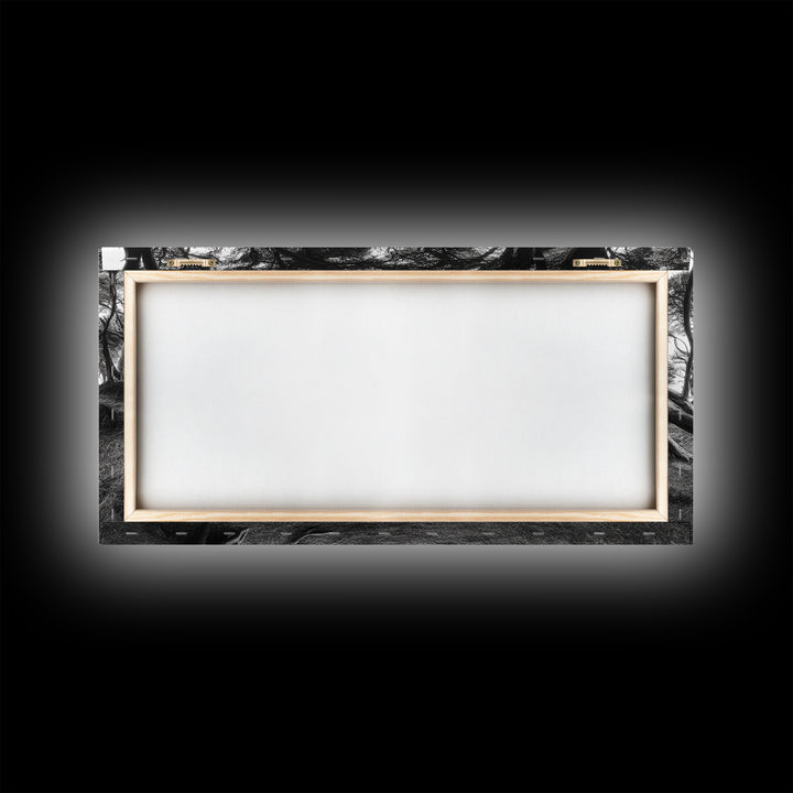 Coastal Trees, Windswept Forest, Ocean View, Framed Canvas Print, Boho Wall Art, Living Room Art, Nature Wall Decor, Monochrome Landscape