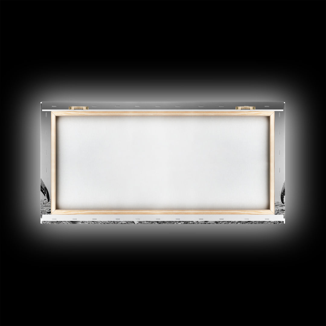 Crab Art, Beach Creature, Monochrome Photography, Nature Close-Up, Framed Canvas Print, Coastal Bathroom Art, Marine Home Style