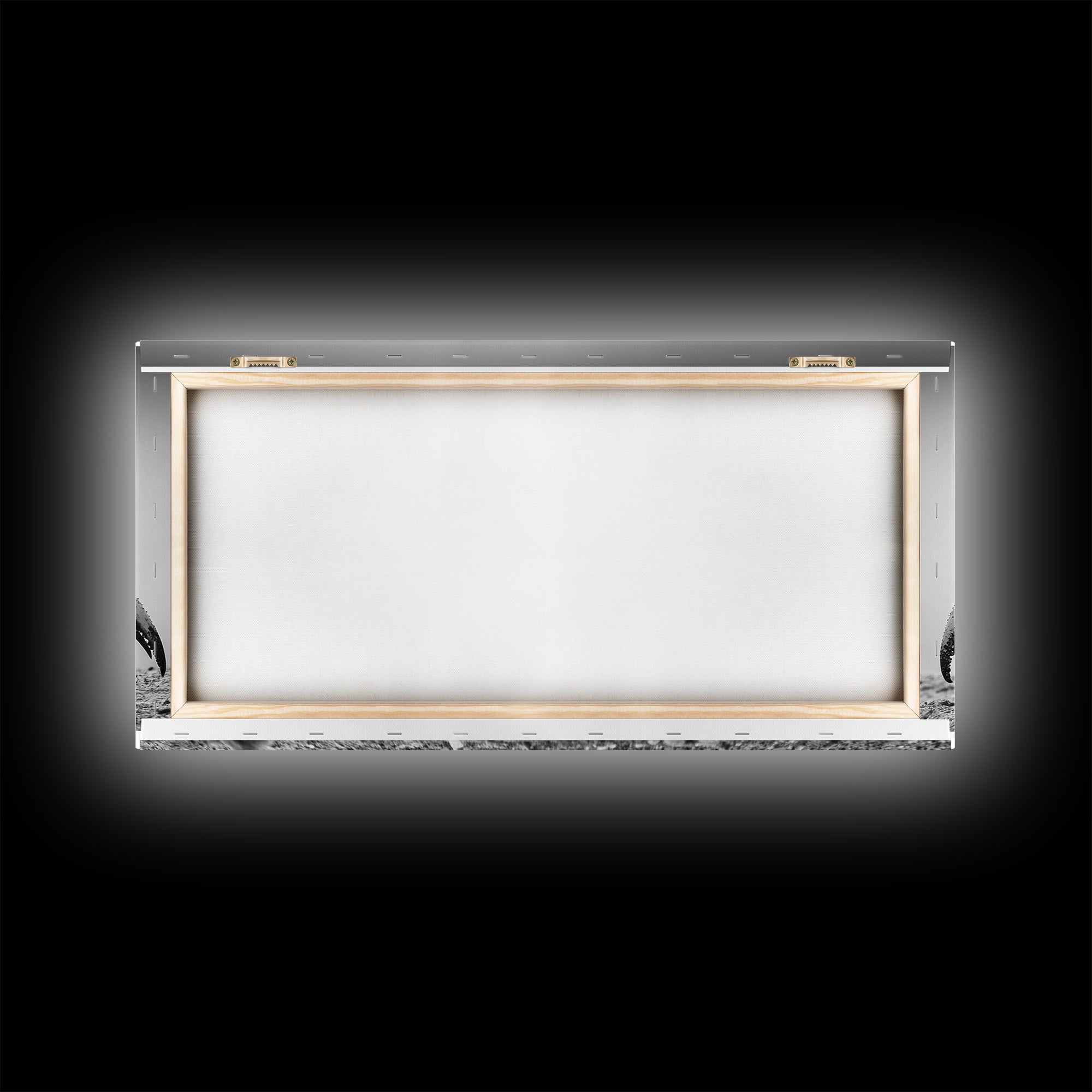 Crab Art, Beach Creature, Monochrome Photography, Nature Close-Up, Framed Canvas Print, Coastal Bathroom Art, Marine Home Style