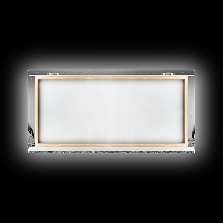 Crab Art, Beach Creature, Monochrome Photography, Nature Close-Up, Framed Canvas Print, Coastal Bathroom Art, Marine Home Style