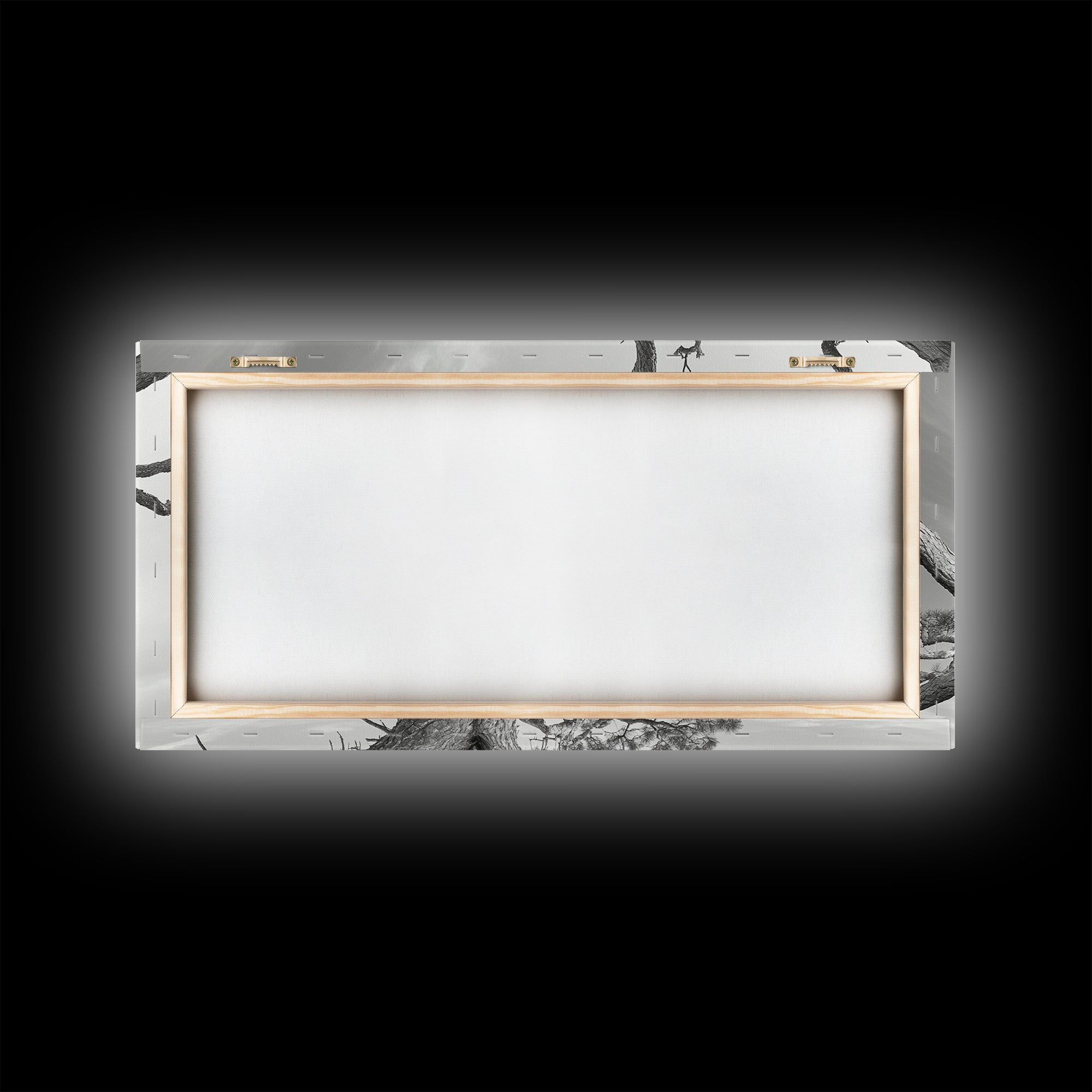 Bald Eagle Nest, Wildlife Nature Art, Rustic Cabin Decor, Framed Canvas Print, Patriotic Office Wall Art, Woodland Photography