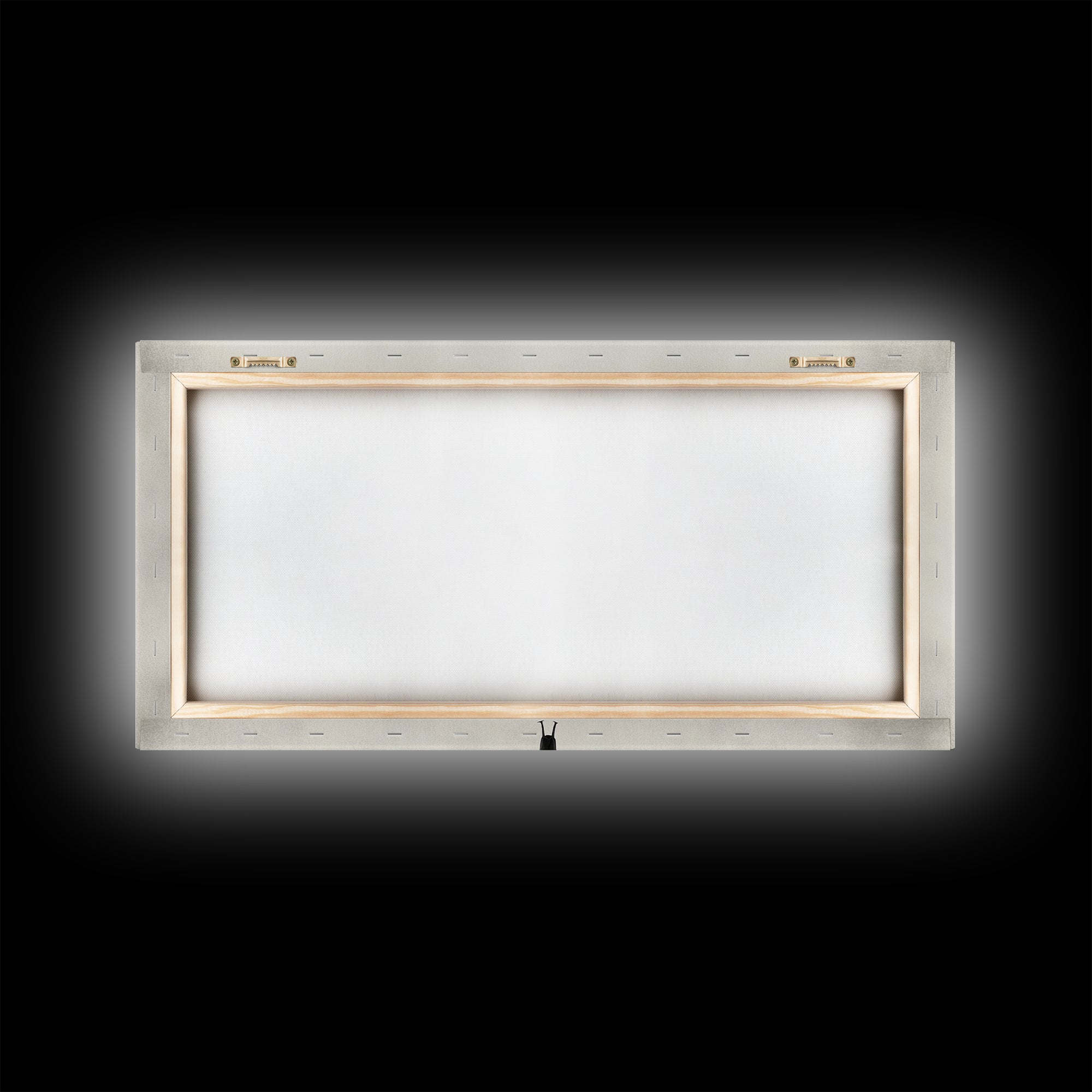 Dragonfly Sketch, Insect Art Print, Botanical Illustration, Minimalist Natural History, Framed Canvas Print, Office or Study Wall Art