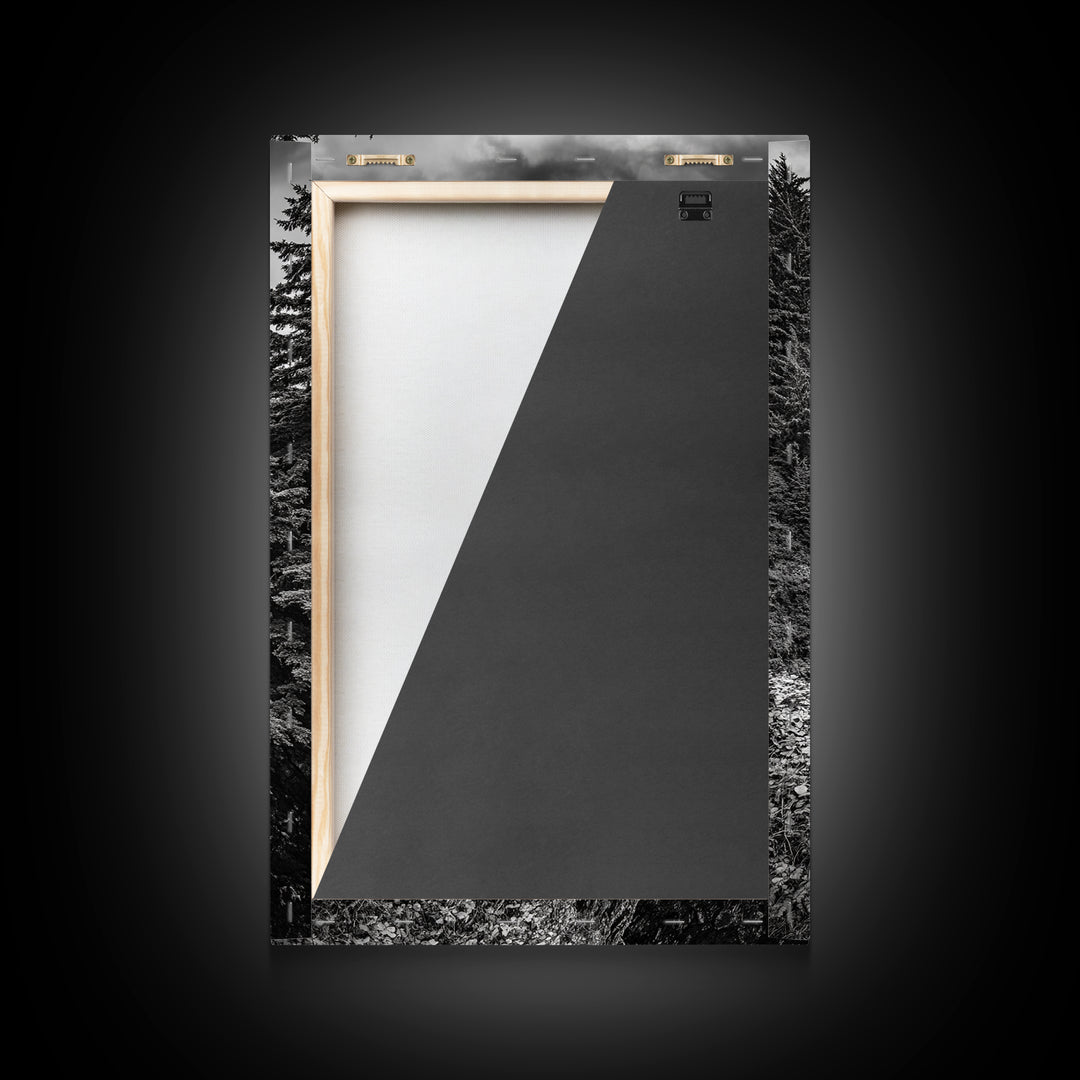 Rugged Ocean View, Coastal Forest, Black and White Mountains, Pacific Northwest Vibes, Framed Canvas Print, Den Wall Art, Moody Cabin Decor