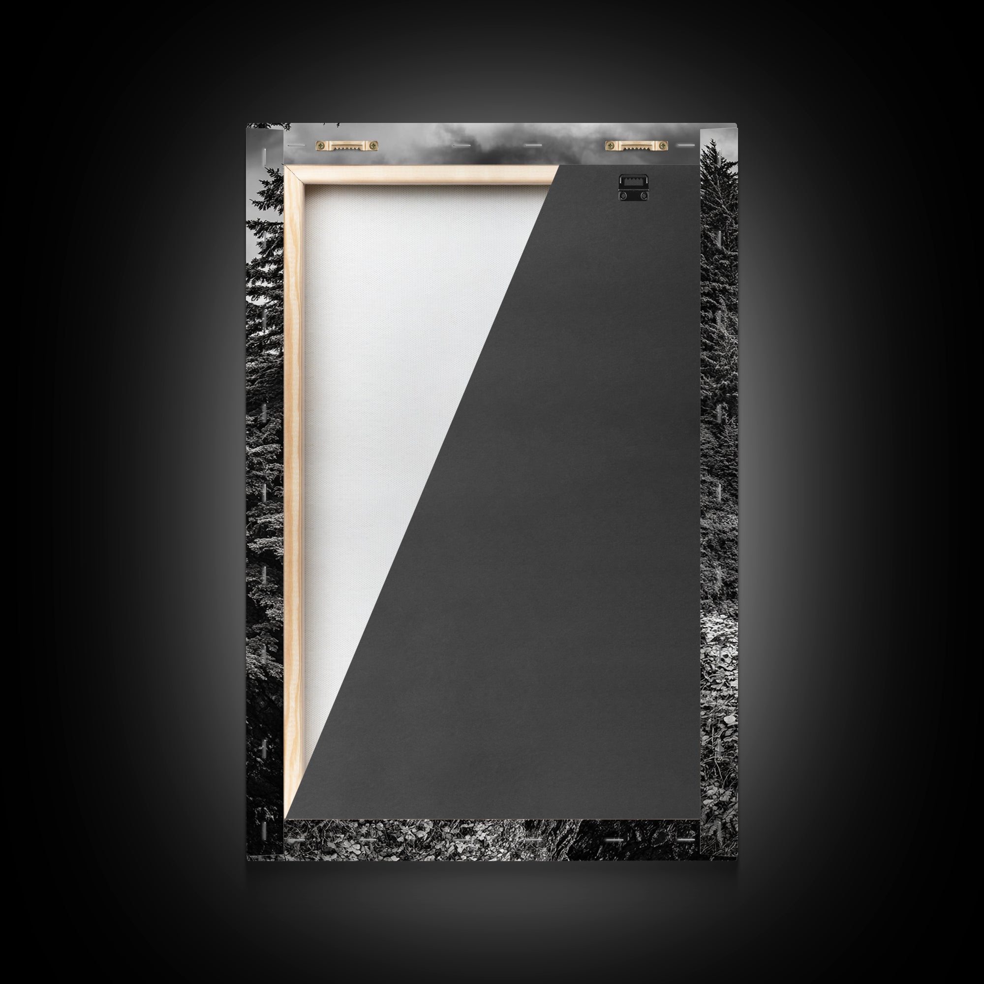 Rugged Ocean View, Coastal Forest, Black and White Mountains, Pacific Northwest Vibes, Framed Canvas Print, Den Wall Art, Moody Cabin Decor