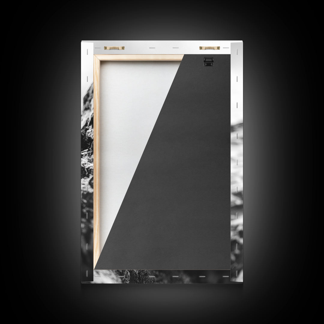 Curious Otter, Coastal Wildlife, Black and White, Animal Photography, Framed Canvas Print, Bathroom Wall Art, Nature Lover Gift