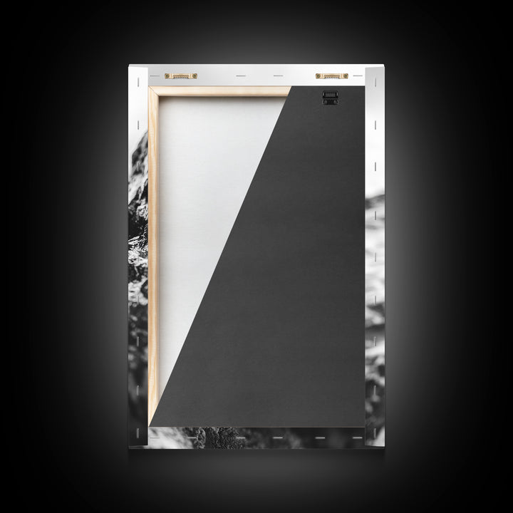 Curious Otter, Coastal Wildlife, Black and White, Animal Photography, Framed Canvas Print, Bathroom Wall Art, Nature Lover Gift