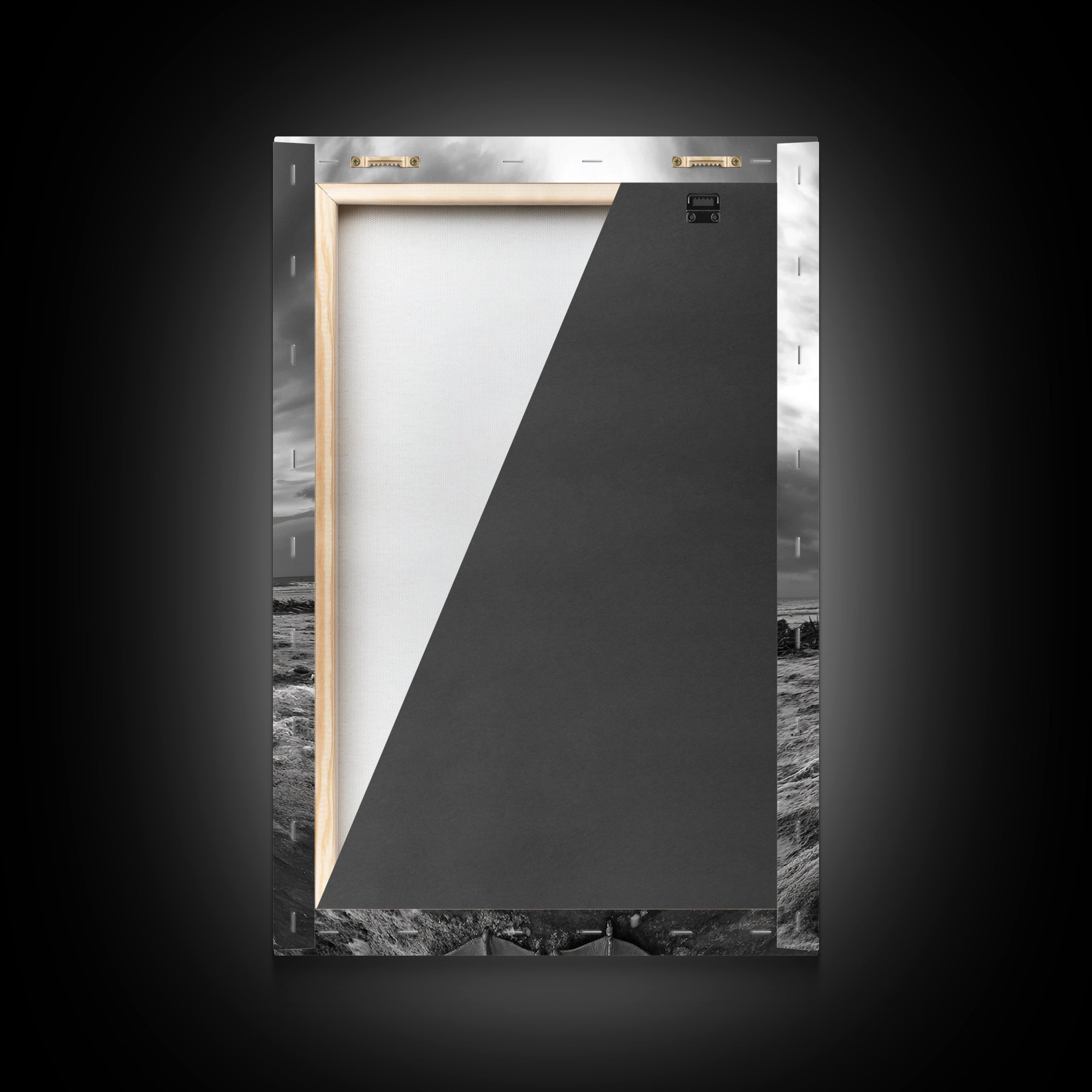 Bold Pelican, Coastal Storm, Bird Portrait, Canvas Print, wildlife wall art, beach house decor, dramatic black and white animal art