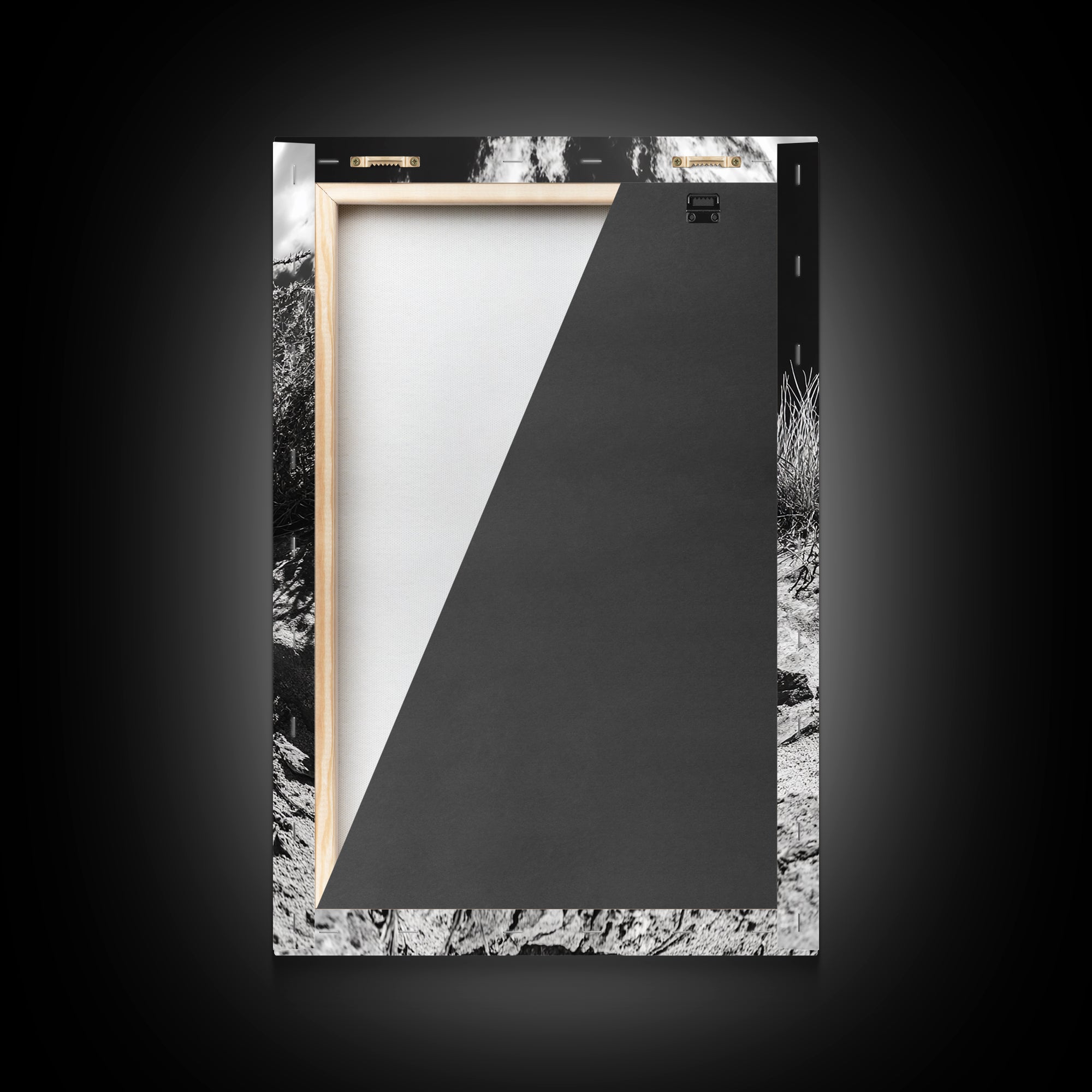 Coiled Snake, Desert Predator, Wild Reptile, Framed Canvas Print, Nature Wildlife Art, Den or Office Decor, Monochrome Animal Photography