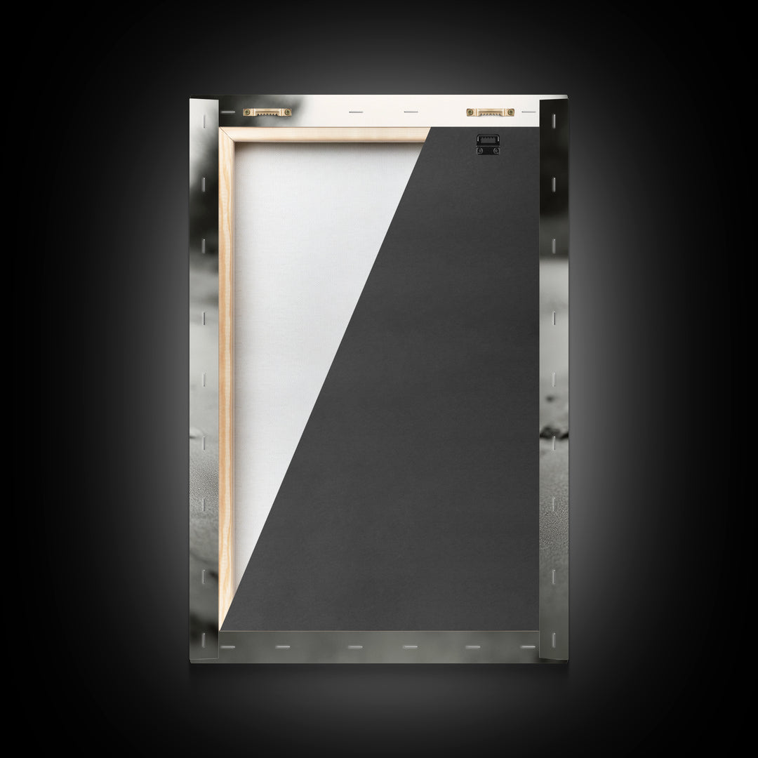 Desert Scorpion, Moody Wildlife, Sandy Ground, Focused Predator, Framed Canvas Print, edgy boho decor, masculine wall art, nature closeup