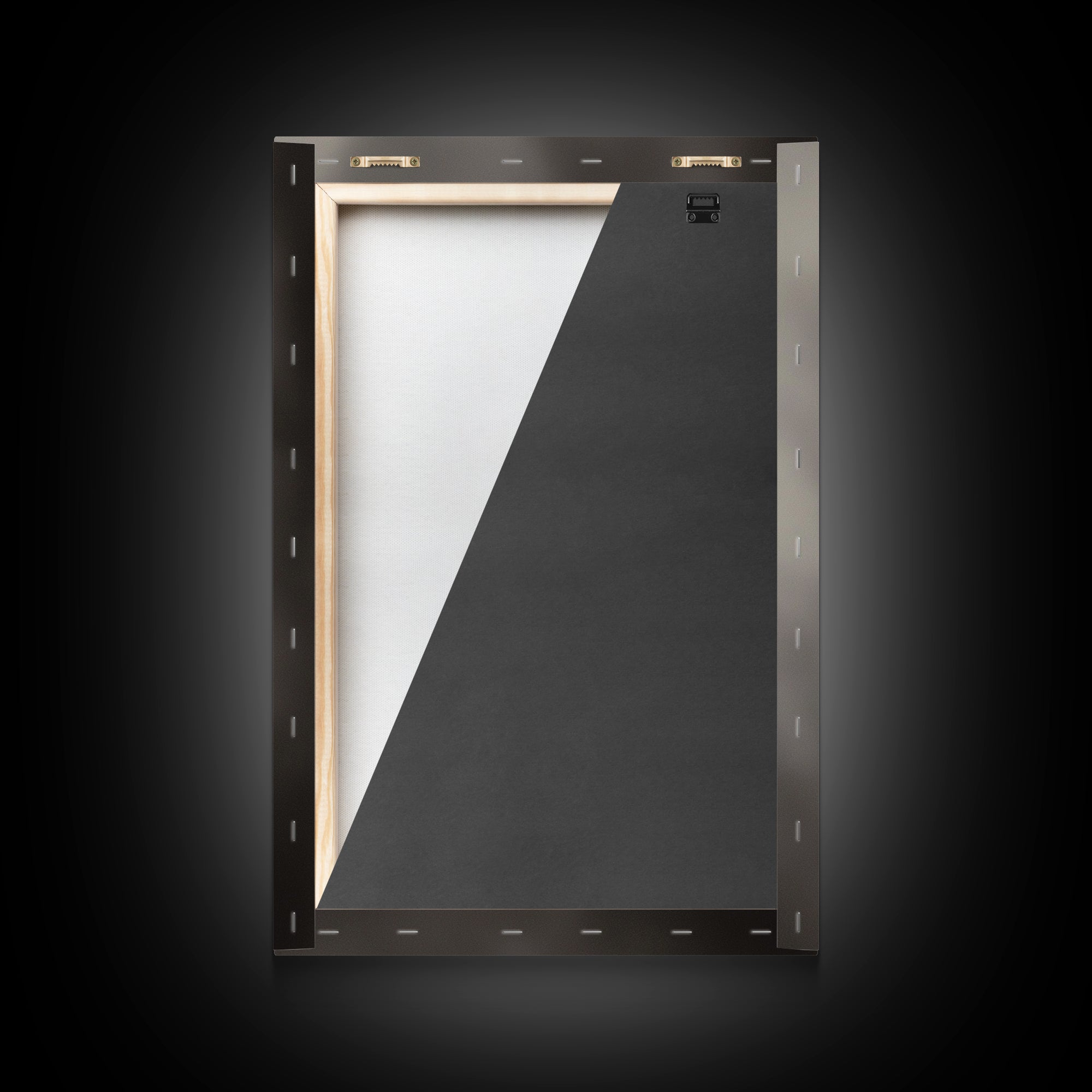 Curious Fish, Underwater Focus, Moody Marine Life, Framed Canvas Print, Bathroom Wall Art, Black and White Ocean Wildlife Decor