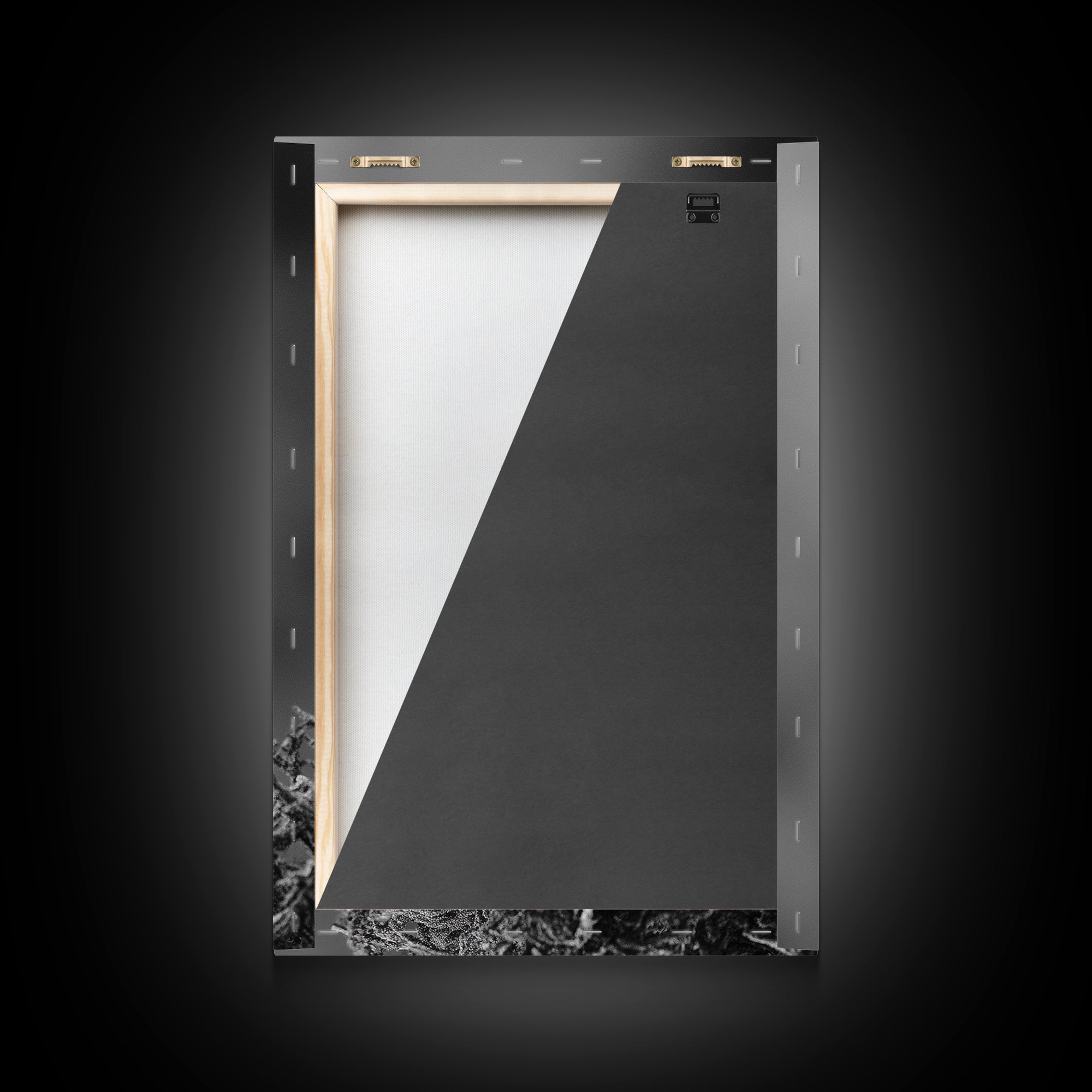 Coastal Bird Portrait, Black White Art, Nature Print, Minimalist Style, Living Room Wall Decor, Framed Canvas Print, Beach House Art