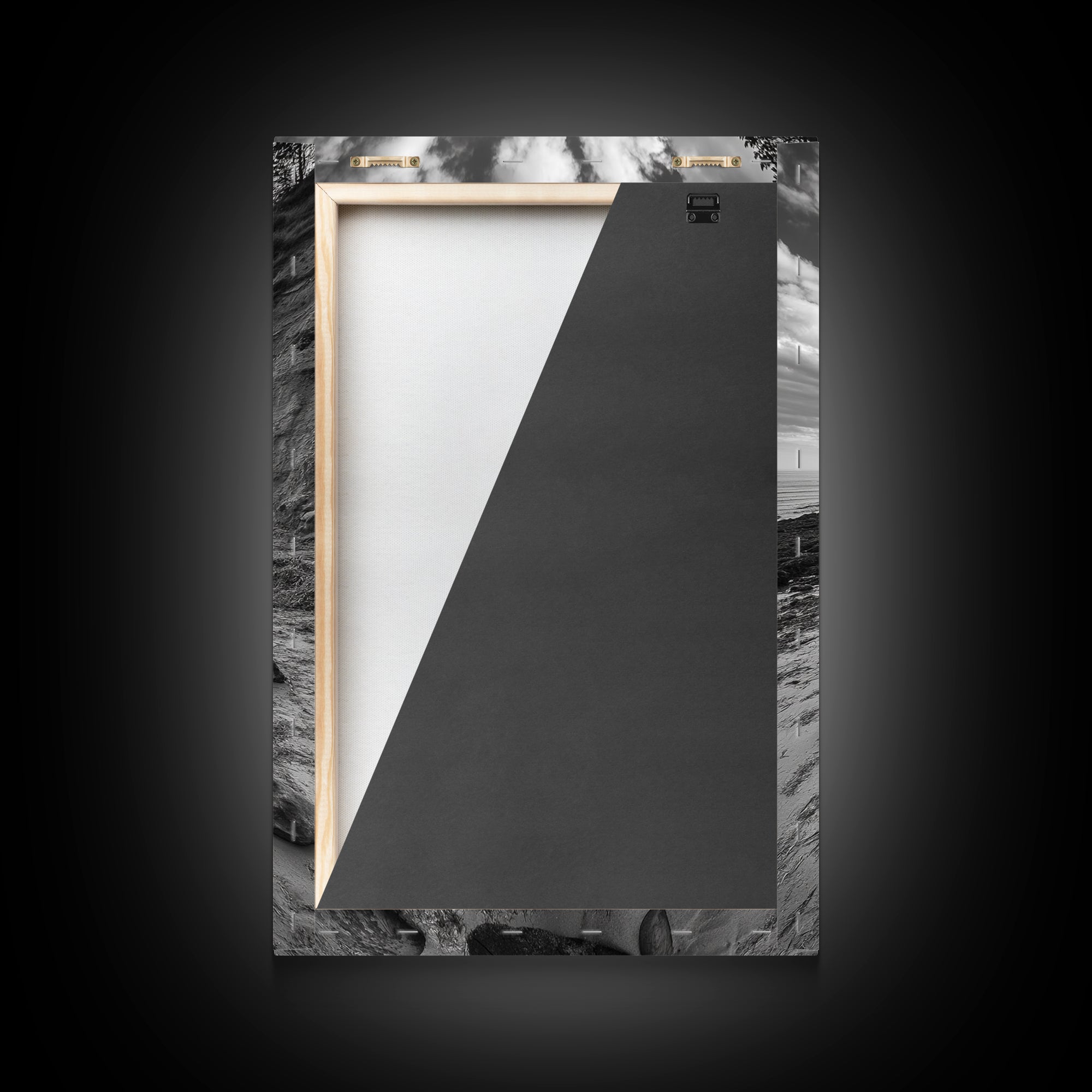 Driftwood Coastal Trail, Cliffside Path Nature Art, Rustic Cabin Style, Black White Photography, Framed Canvas Print, Hallway Wall Decor