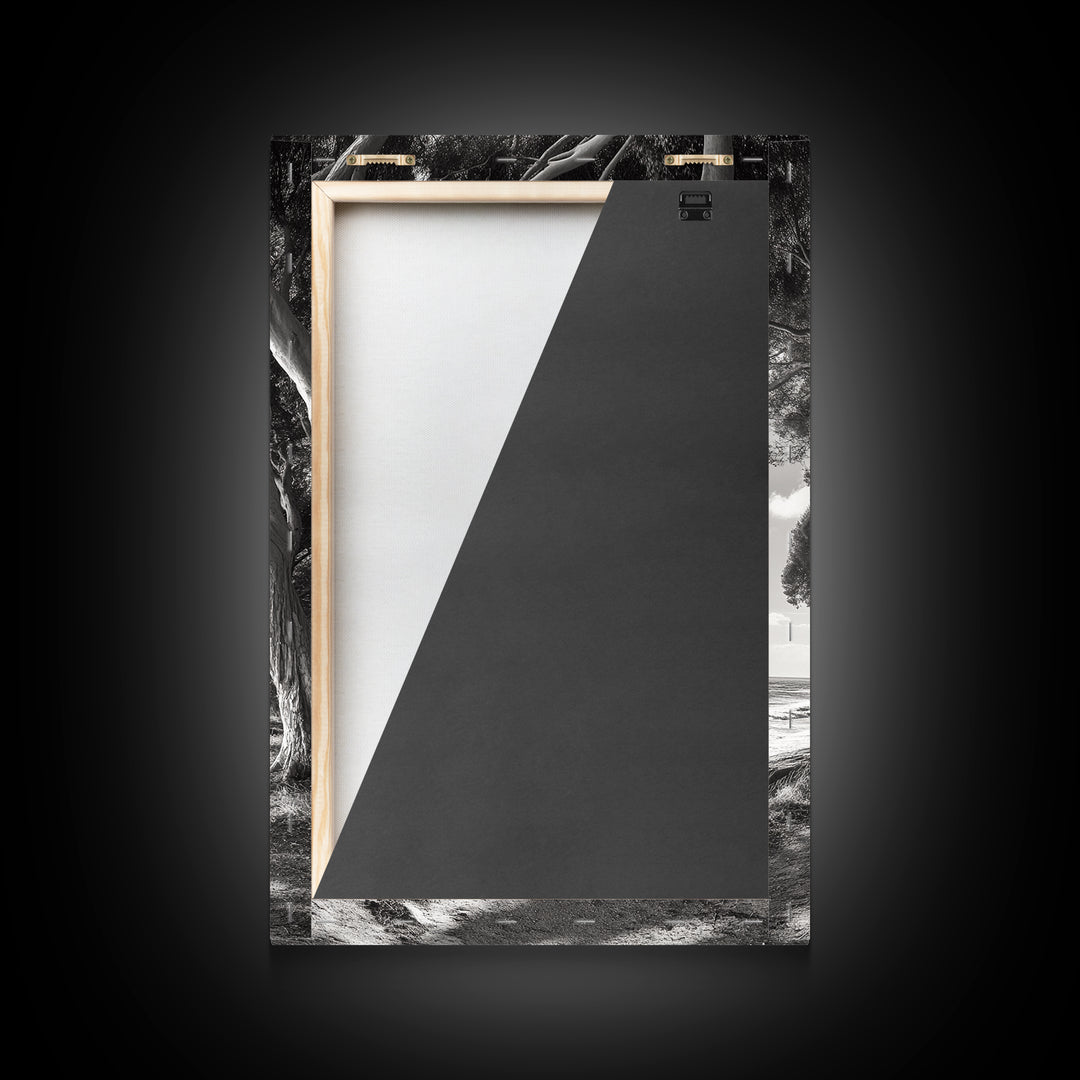 Coastal Tree Path, Nature Shadows, Ocean Breeze, Autumn Light, Framed Canvas Print, Living Room Wall Art, Moody Landscape Photography