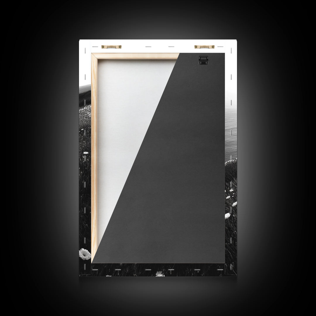 Daisy Cliffside Bloom, Coastal Flowers, Peaceful Nature Scene, Framed Canvas Print, Bedroom Wall Art, Botanical Decor, Minimalist Style